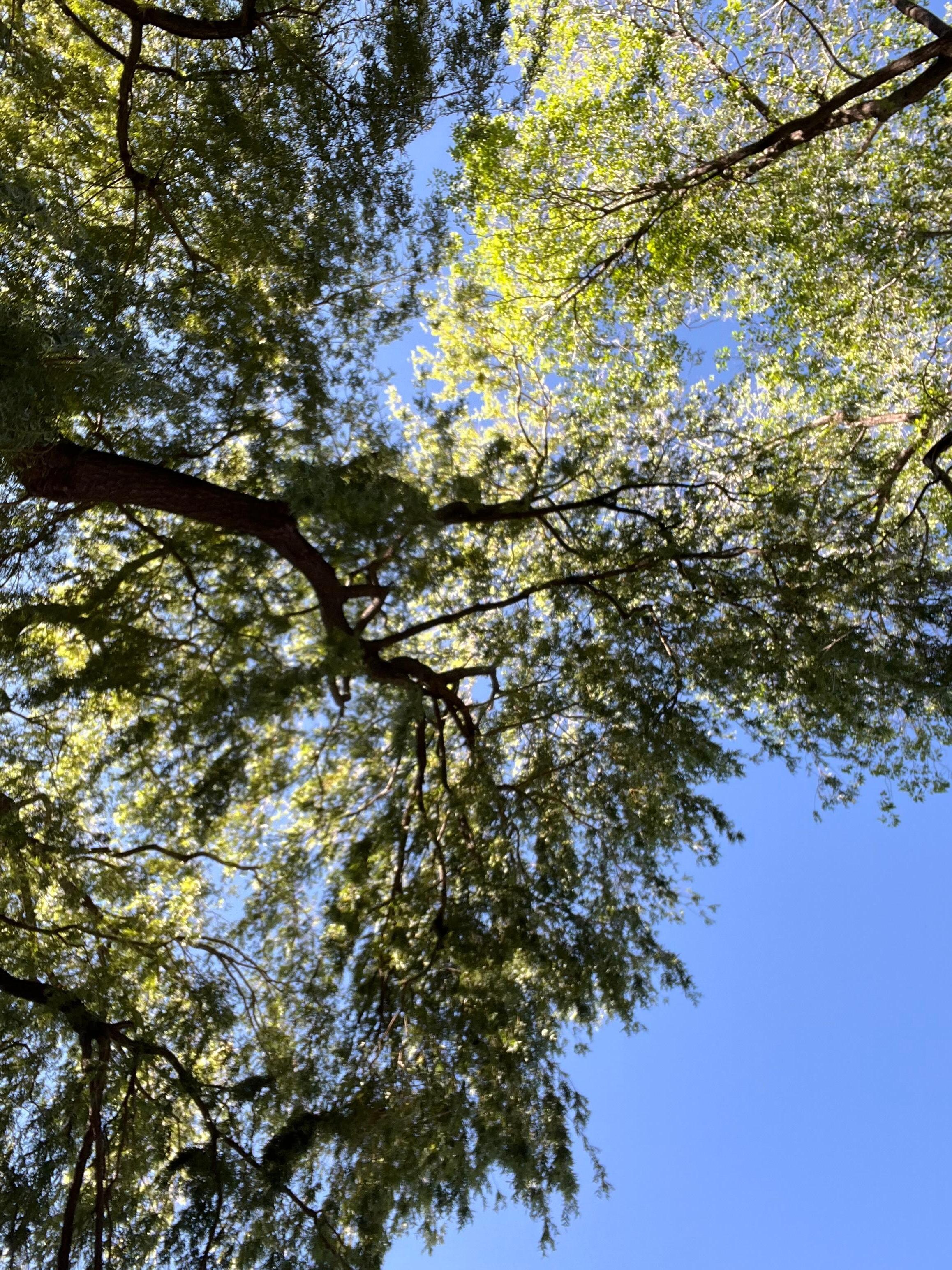 Definitely a place to keep looking up