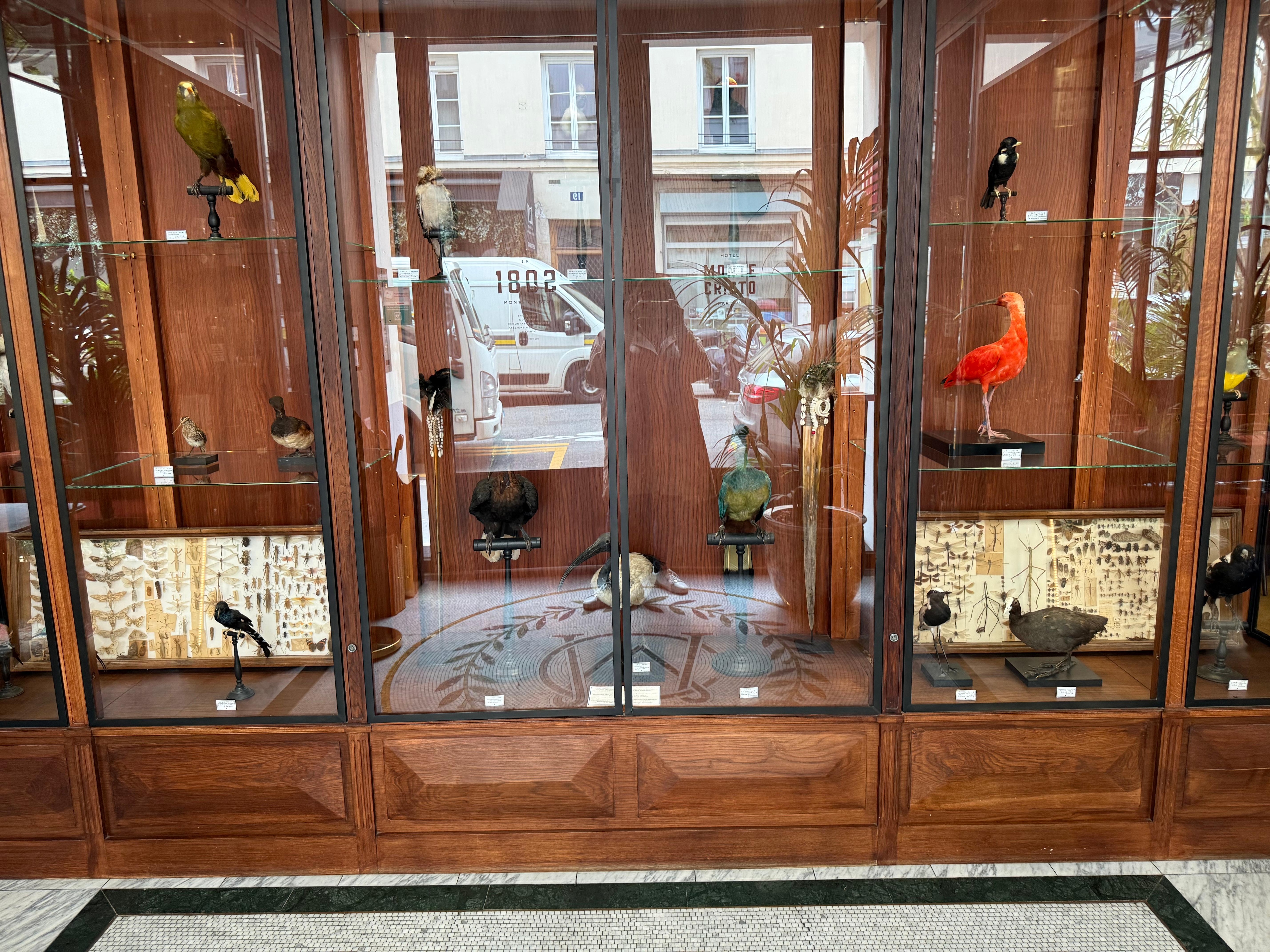 Foyer 