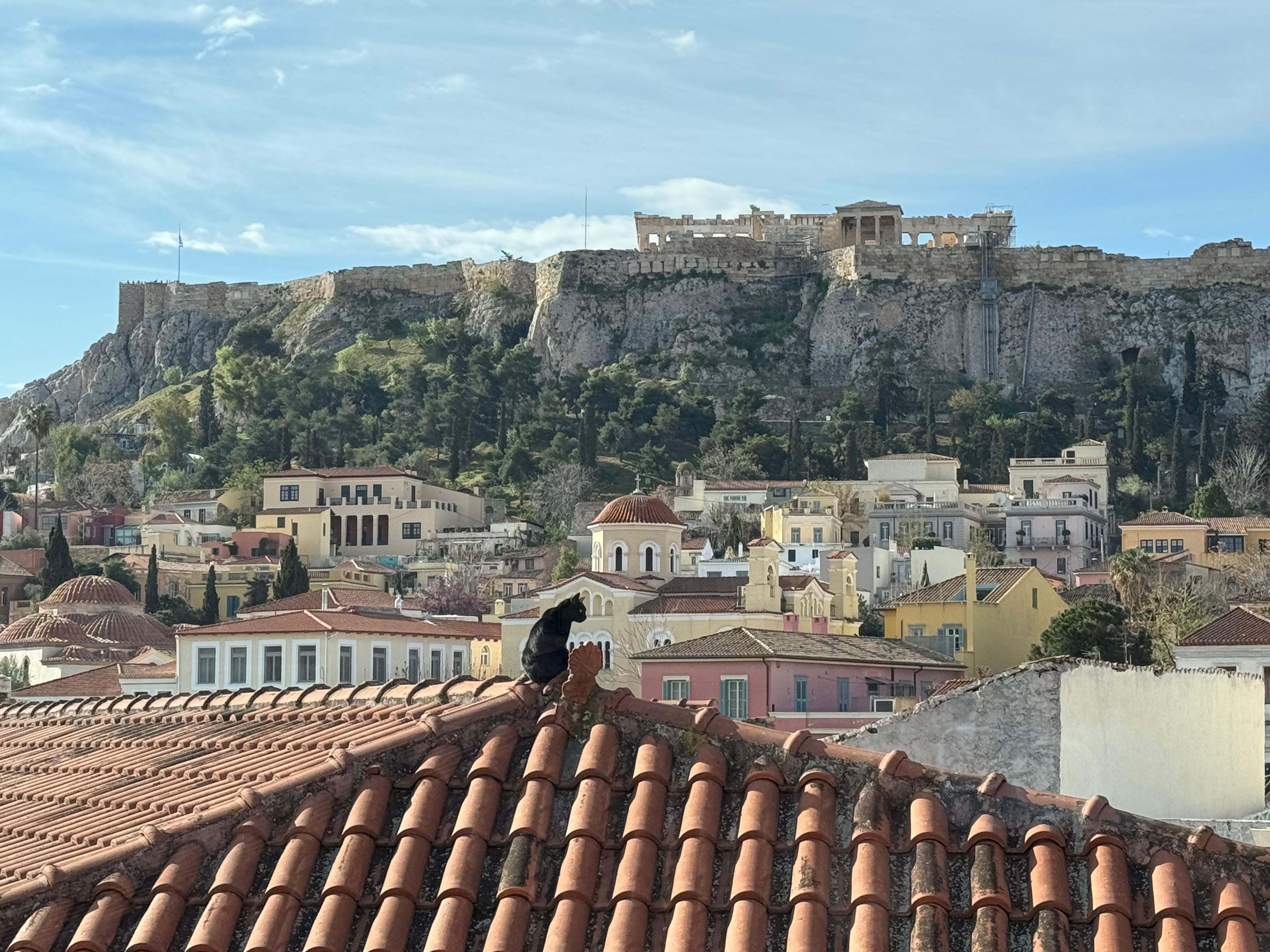 The view from the breakfast room