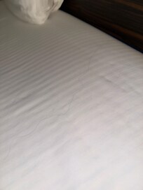 One of many hairs in bed