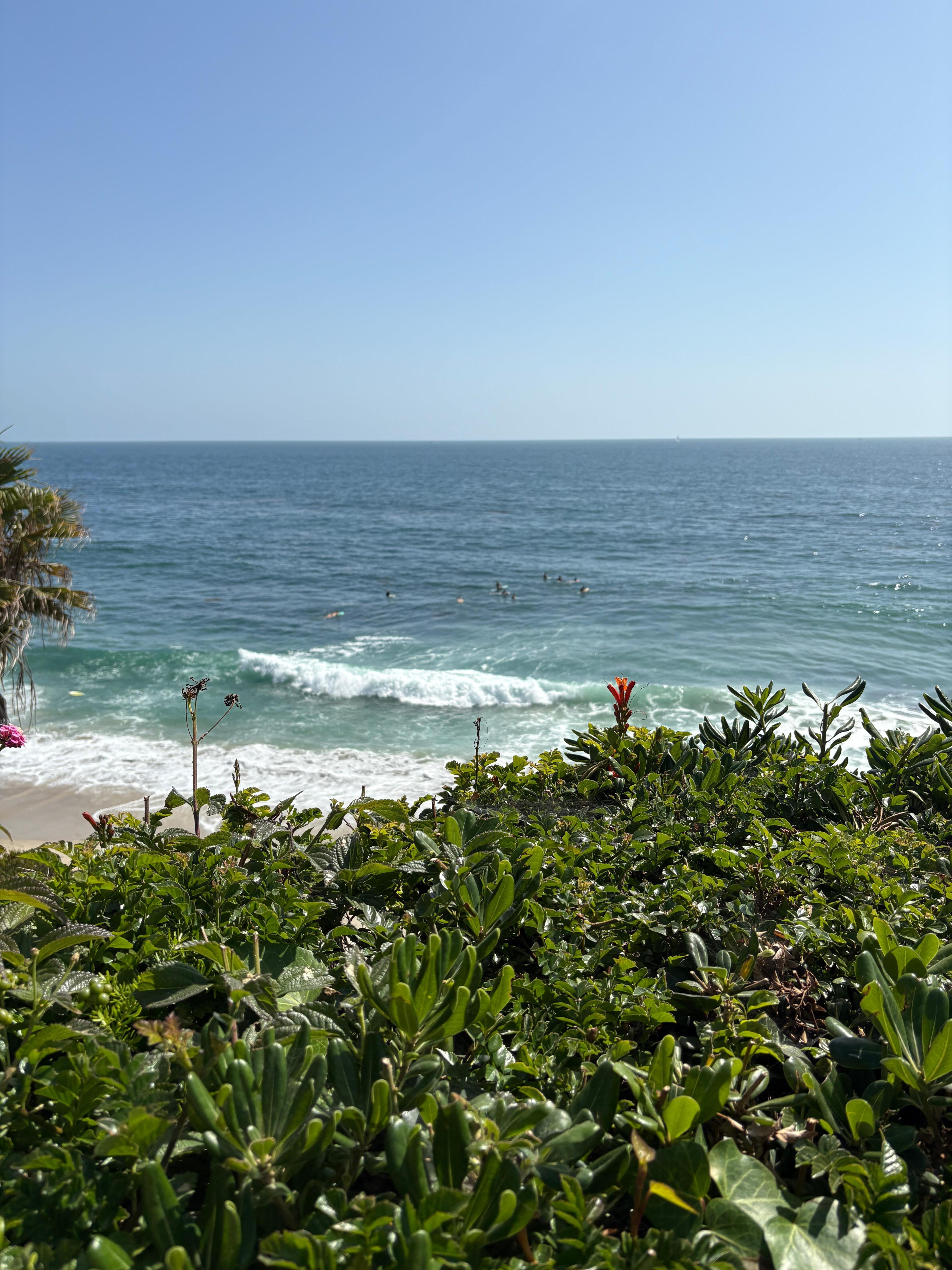 Beach access view