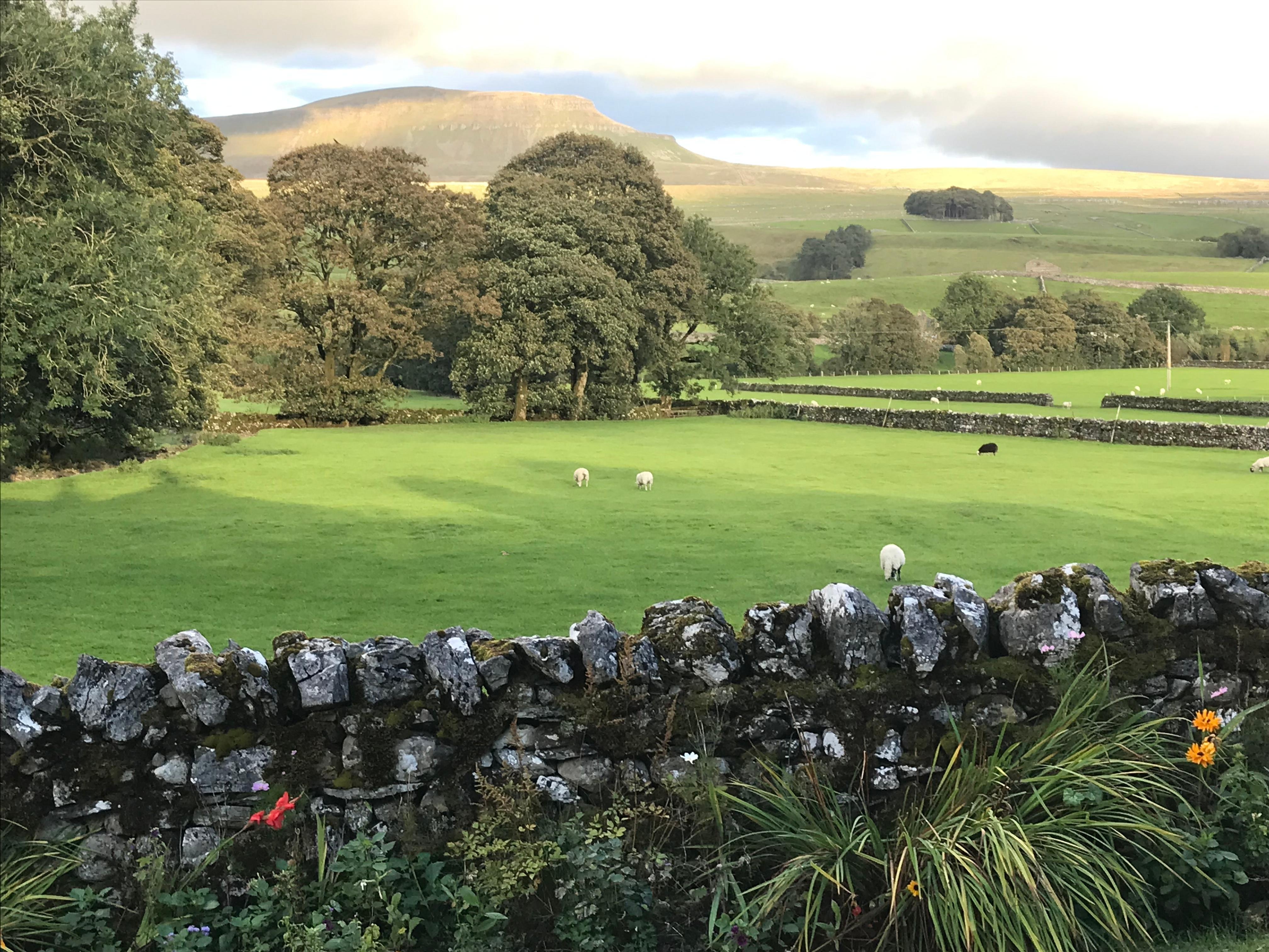 The view from the back garden 