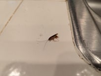 By the kitchen sink