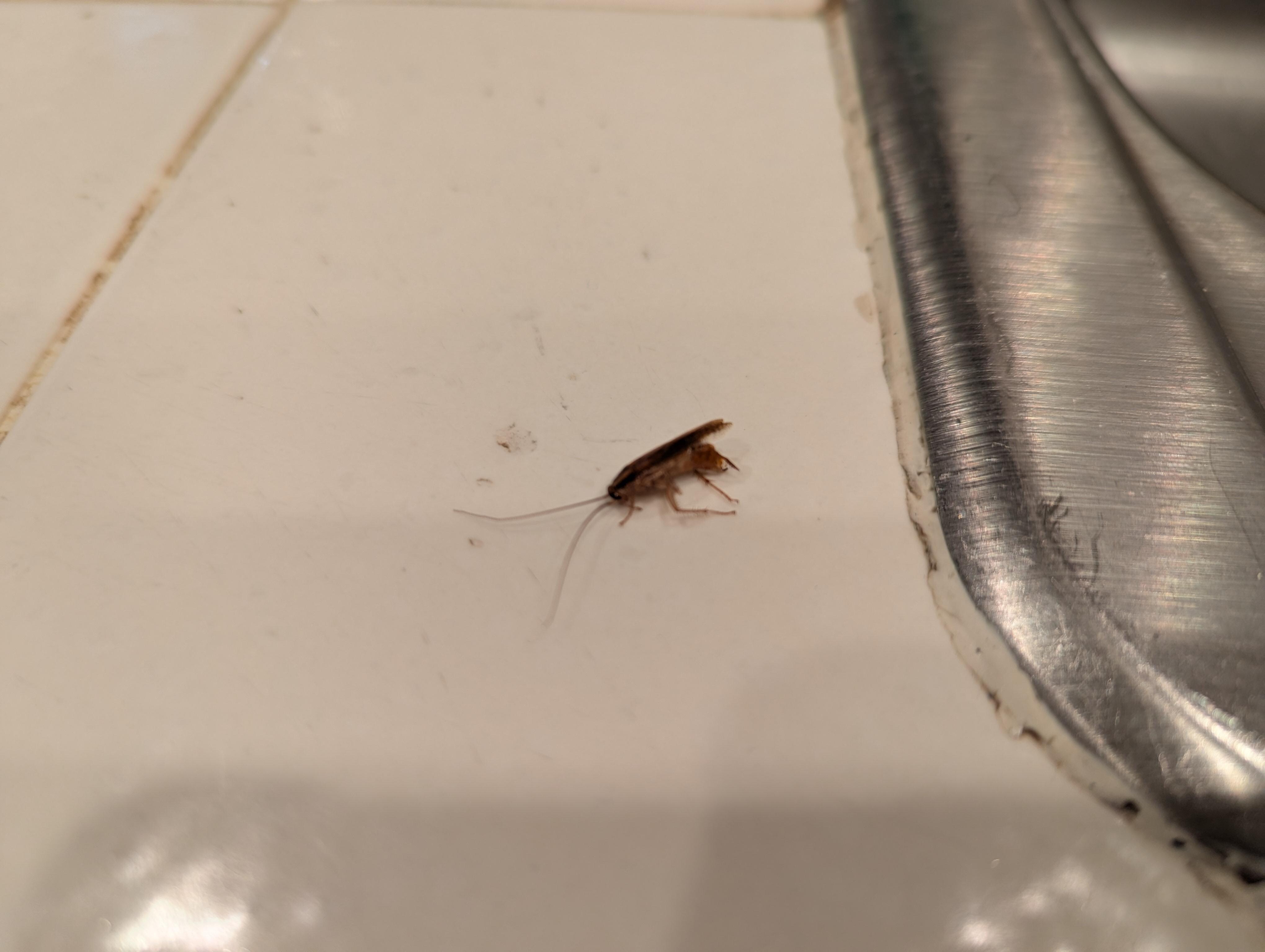 By the kitchen sink 