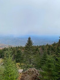 Mt. Michell summit looking north 6638 ft.