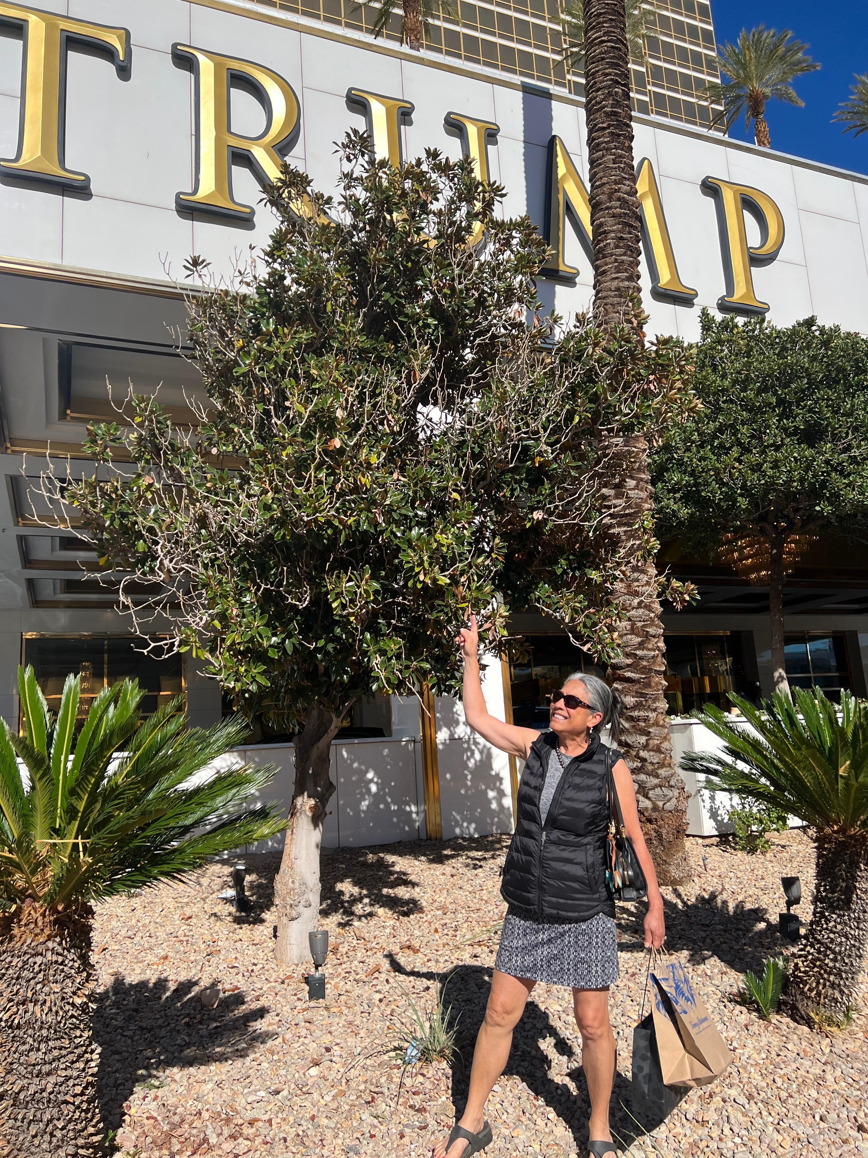 Right across the street from the big shopping mall