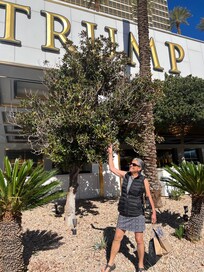 Right across the street from the big shopping mall