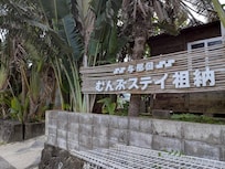 まるでジャングルの中に建っているような外観!