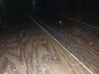 Dirty floors. Couldn't take off shoes.