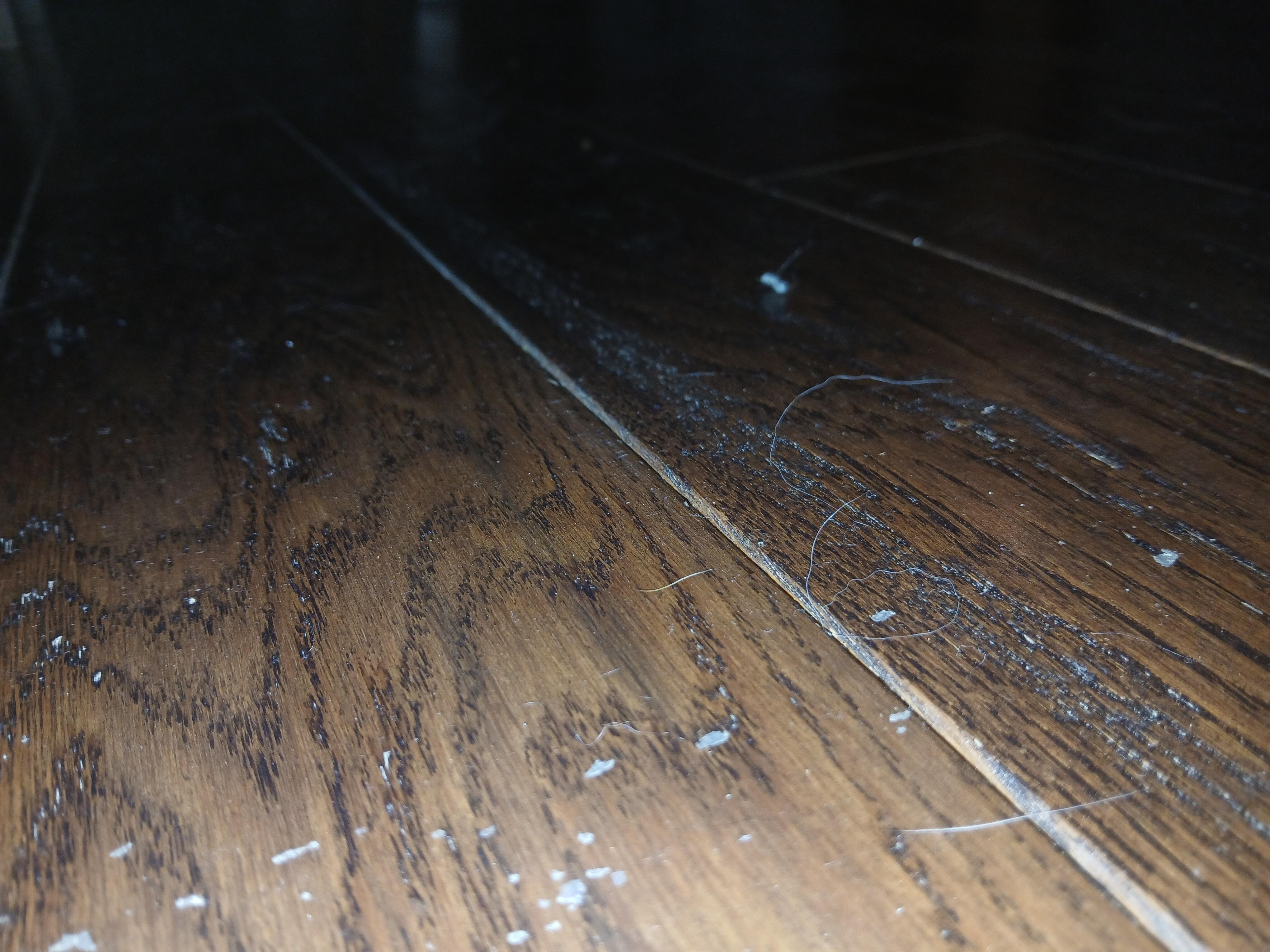 Dirty floors. Couldn't take off shoes. 