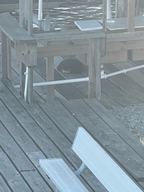 The otter sleeping on the neighbors dock.