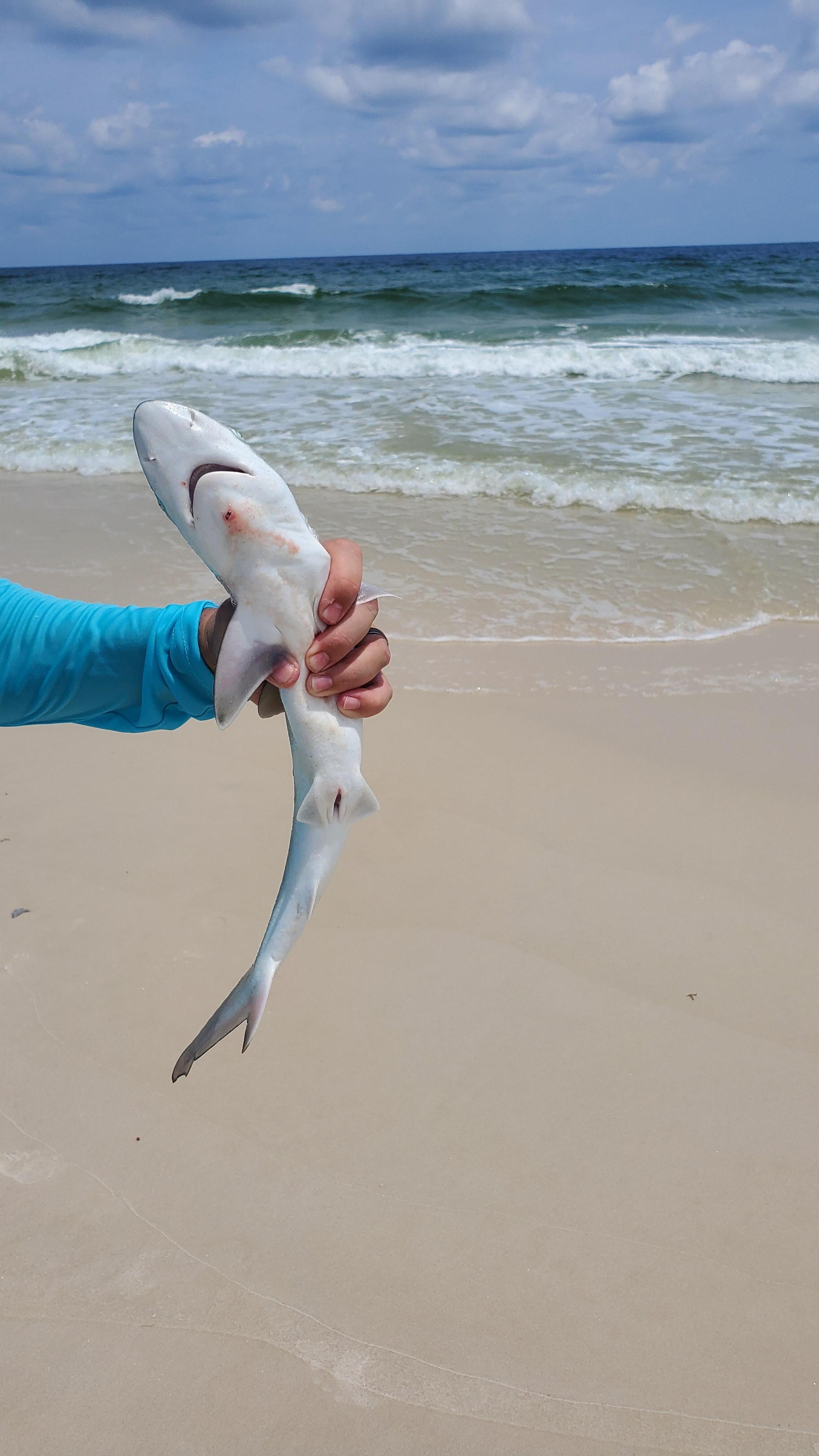 Walking distance to the beach fishing.
