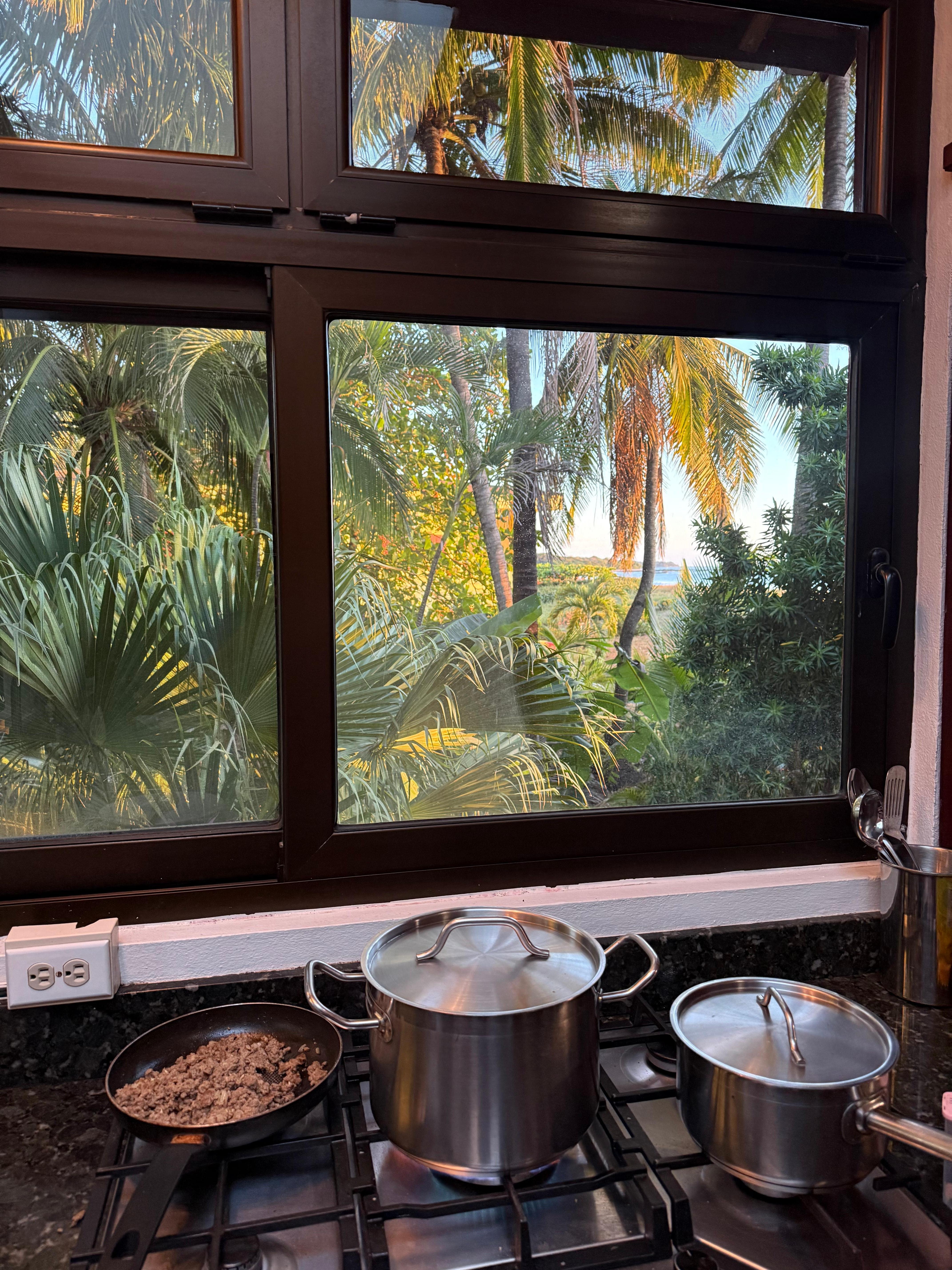 View while I made dinner