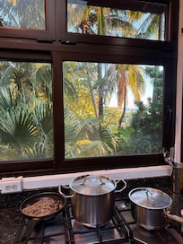 View while I made dinner