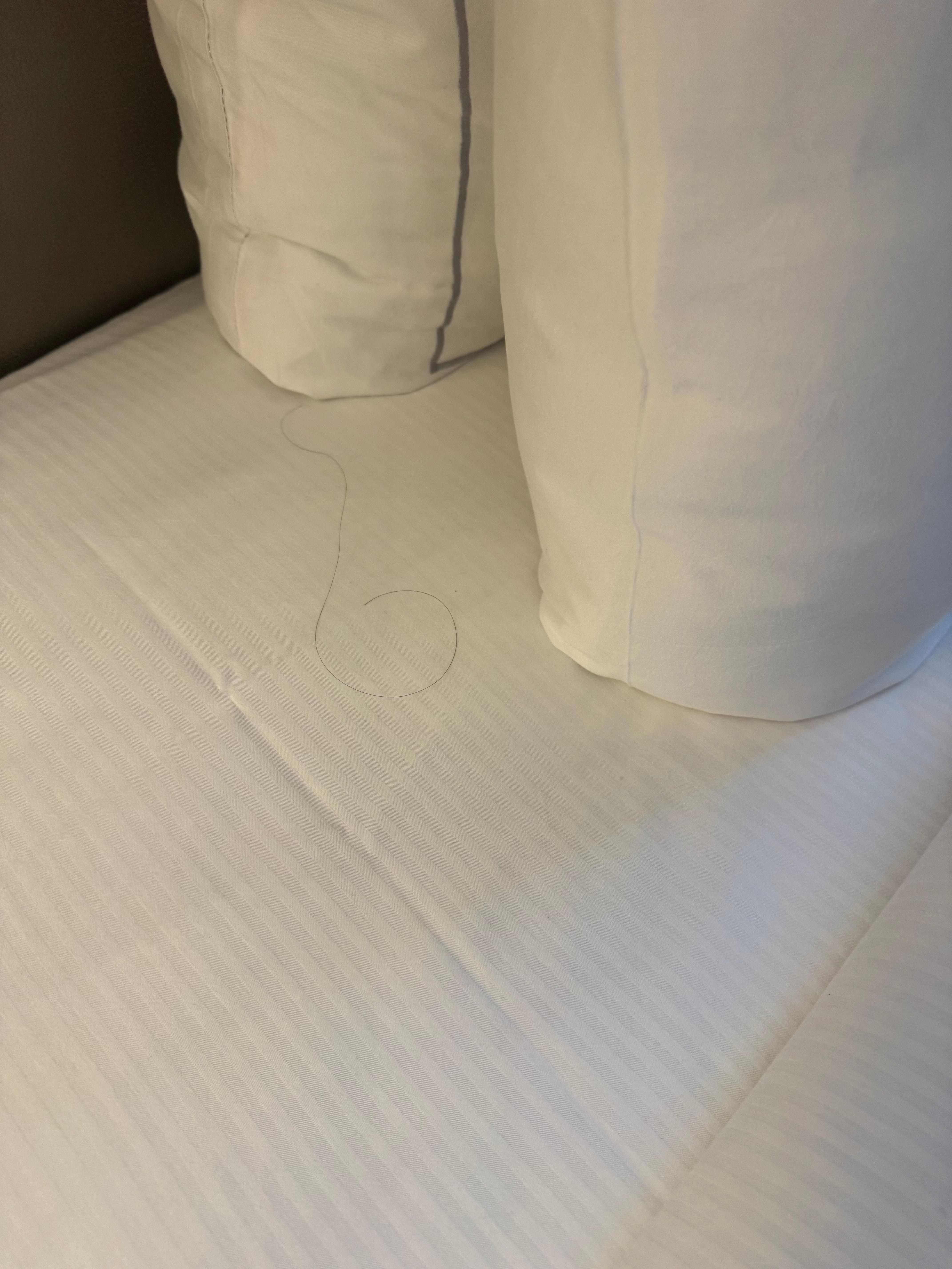 Long hair on the sheets