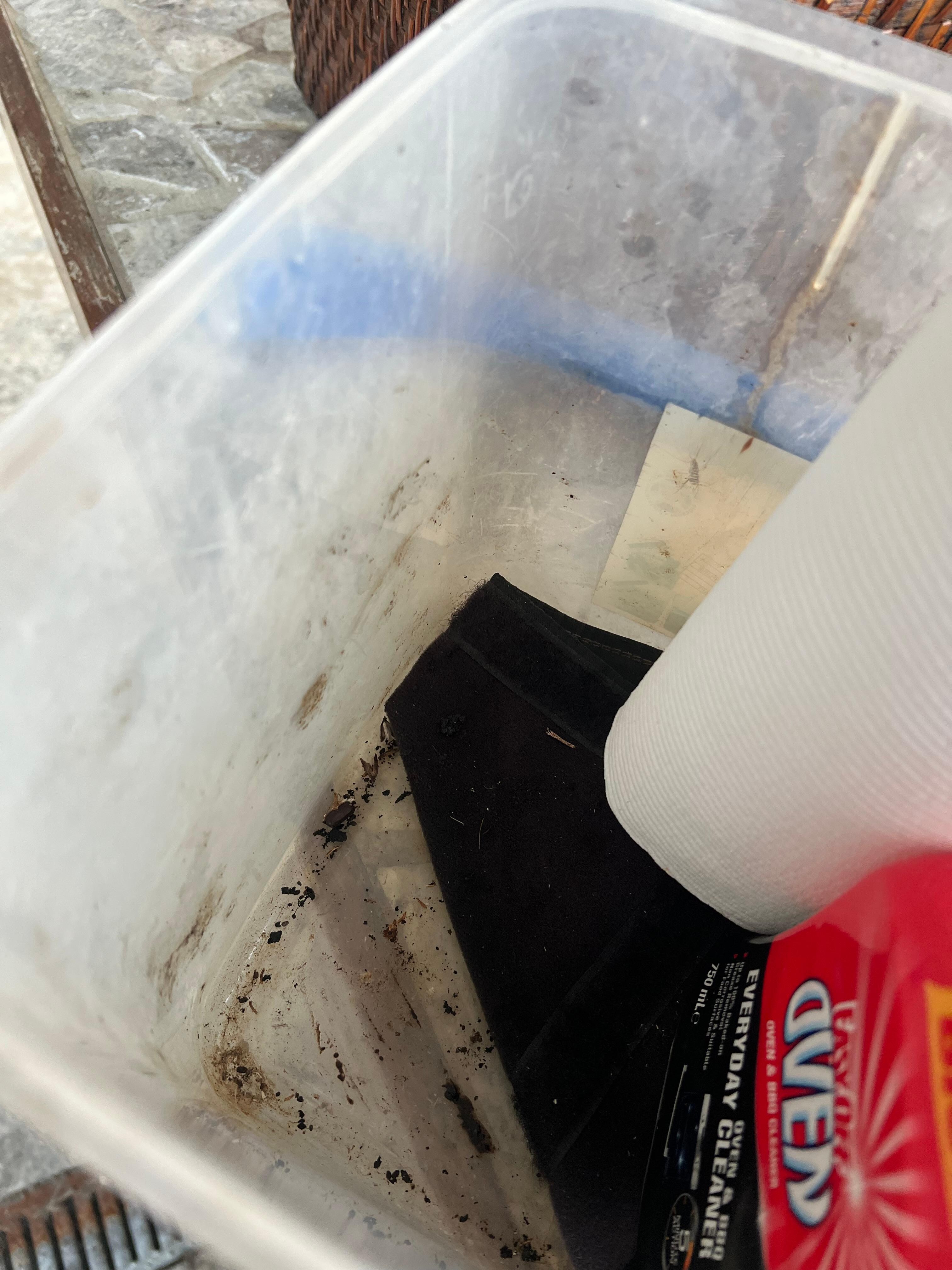 Dirty container that had paper towel and cleaner