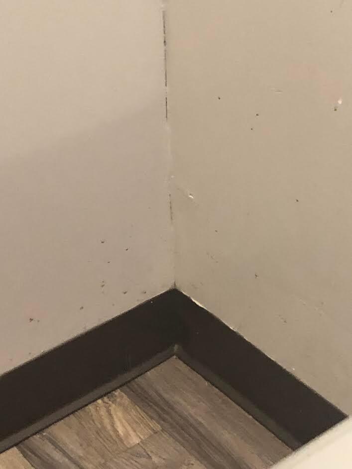 filth on the walls