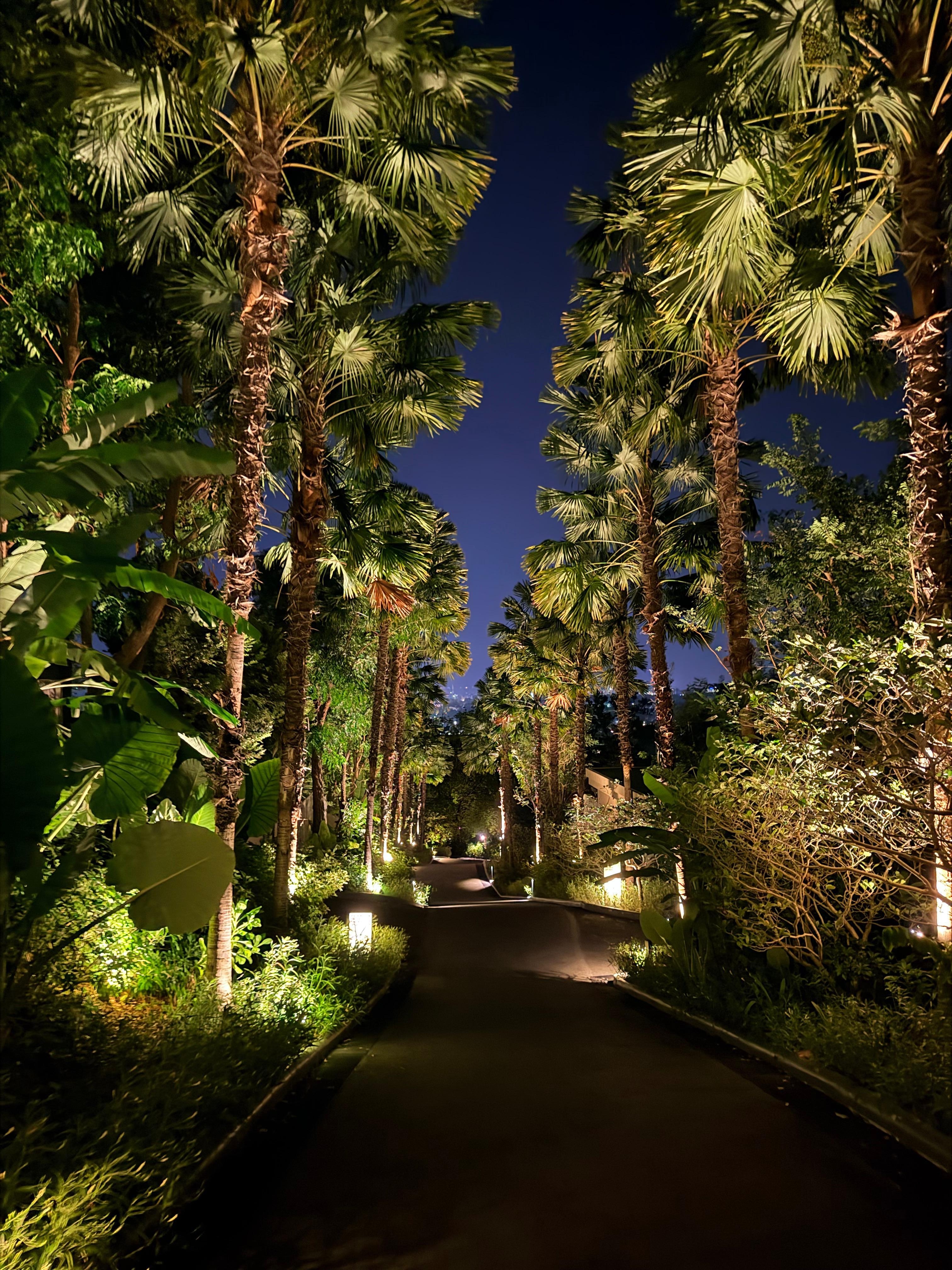 Walk around the resort. Golf carts are available to take you anywhere on the property