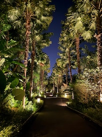 Walk around the resort. Golf carts are available to take you anywhere on the property