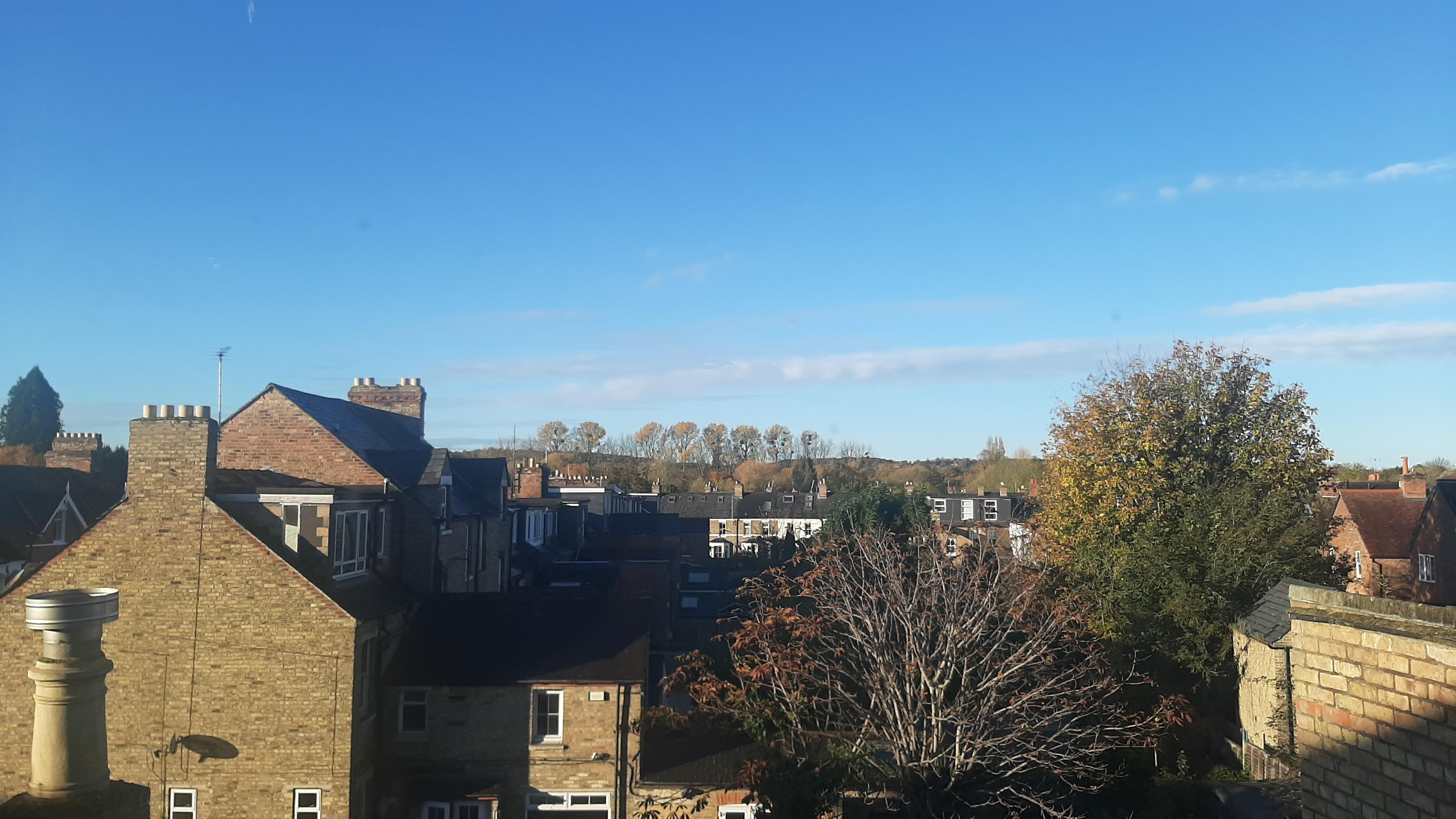 View from Newton House