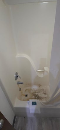 Disgusting bath tub, mold and grime/grease and whatever other stuff was festering in it