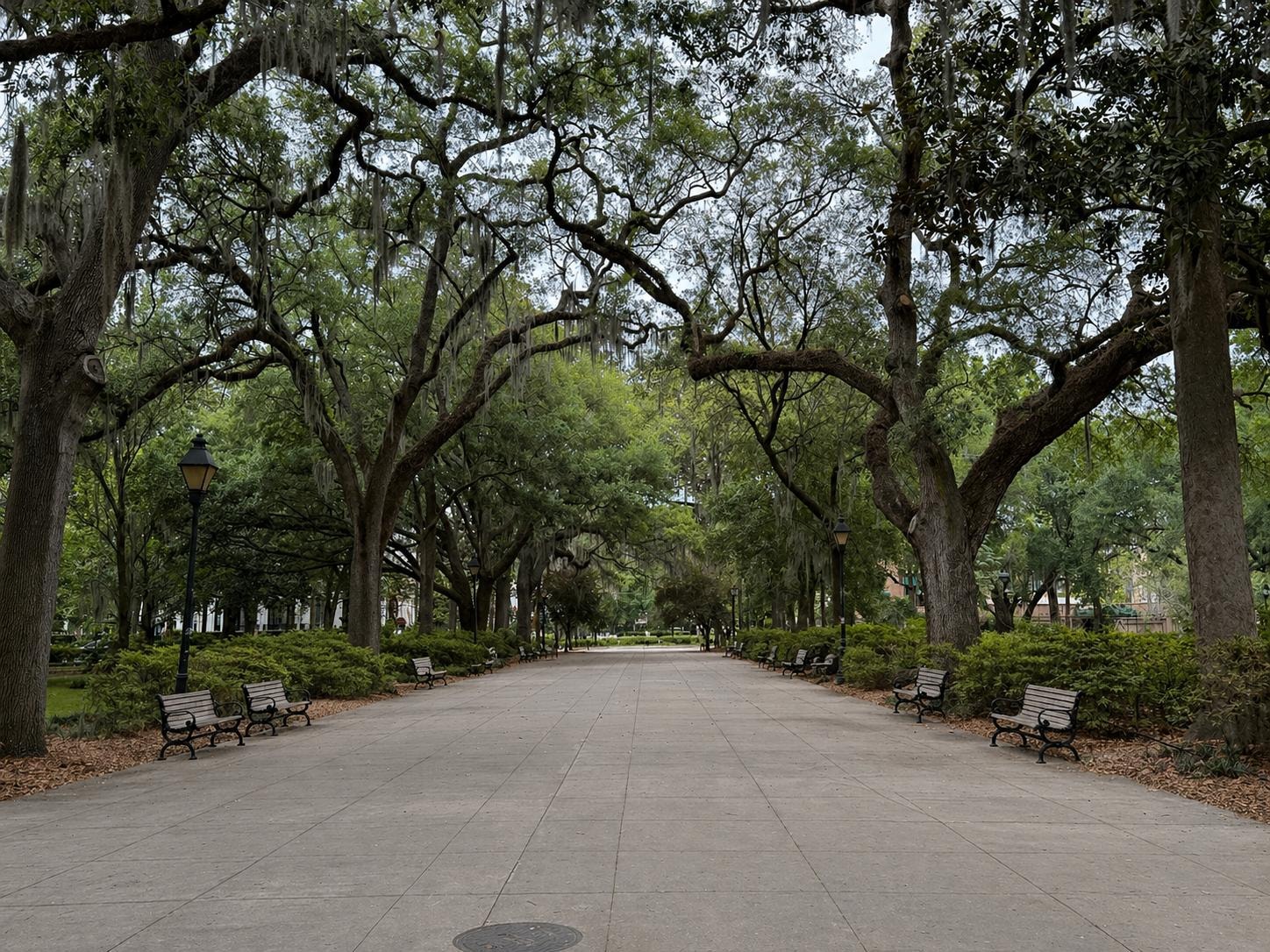 The Park.