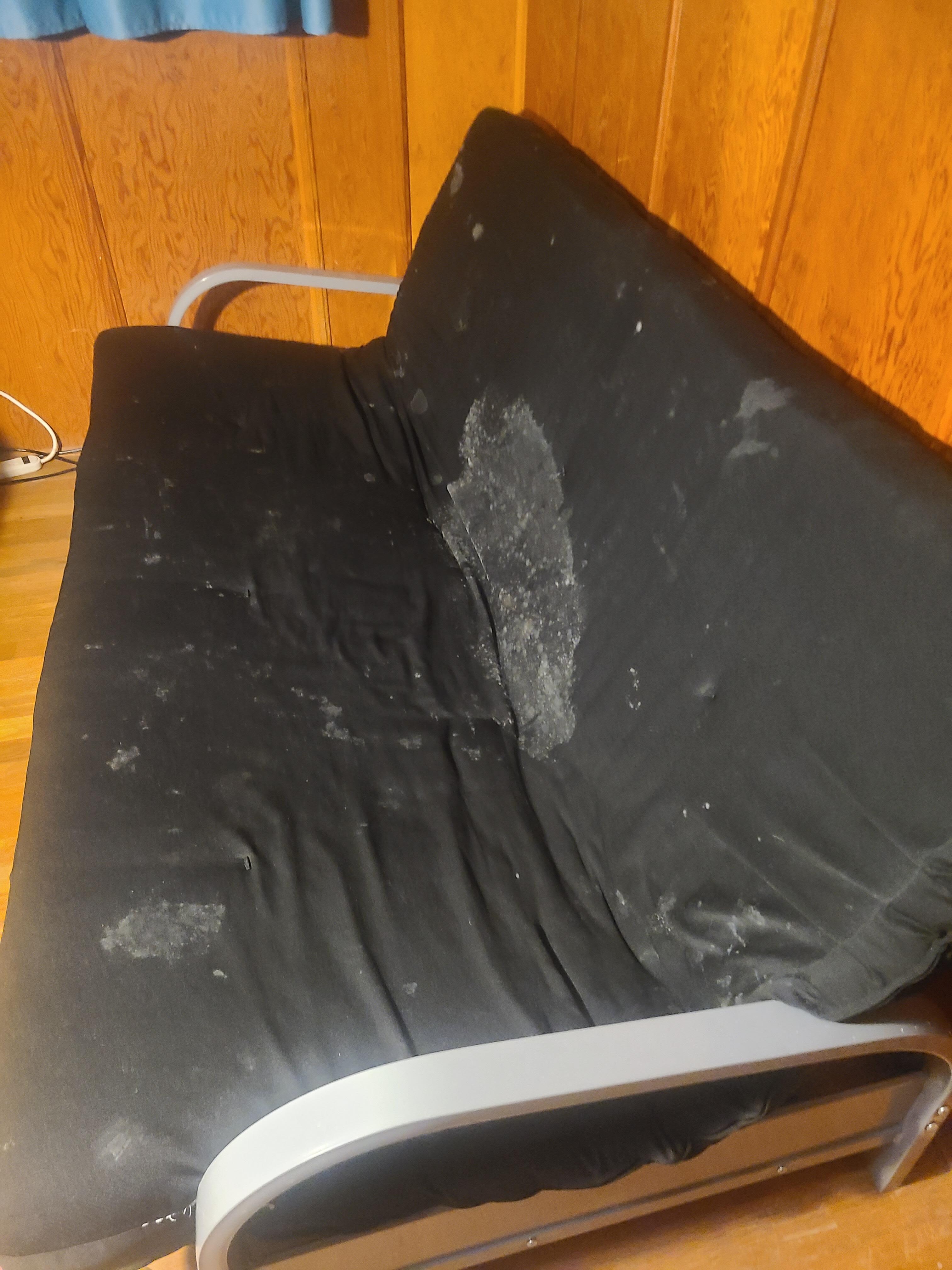 Mold on futon