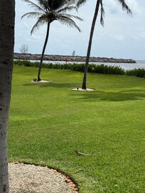 The scenery is always beautiful