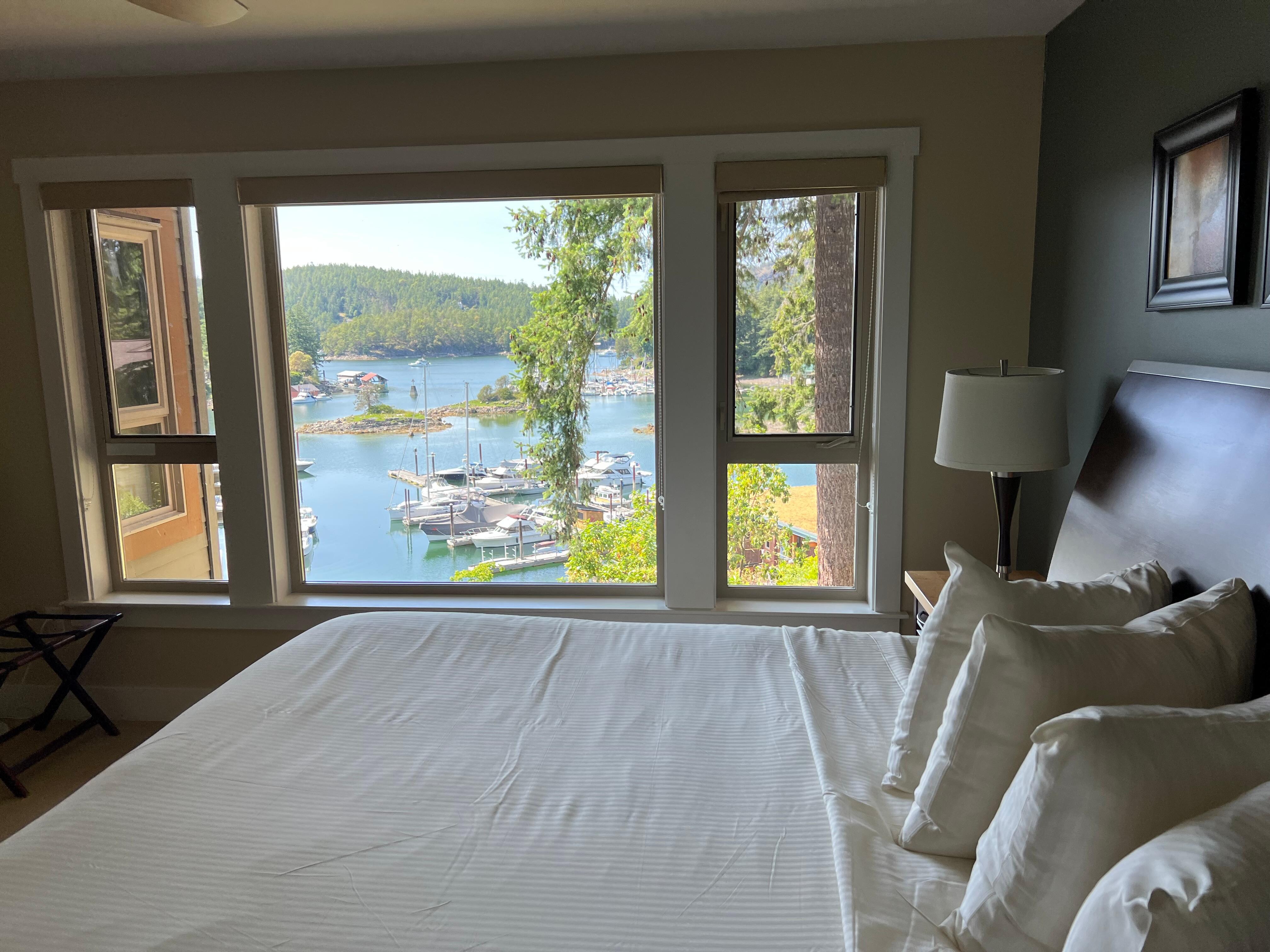 Master bedroom with view