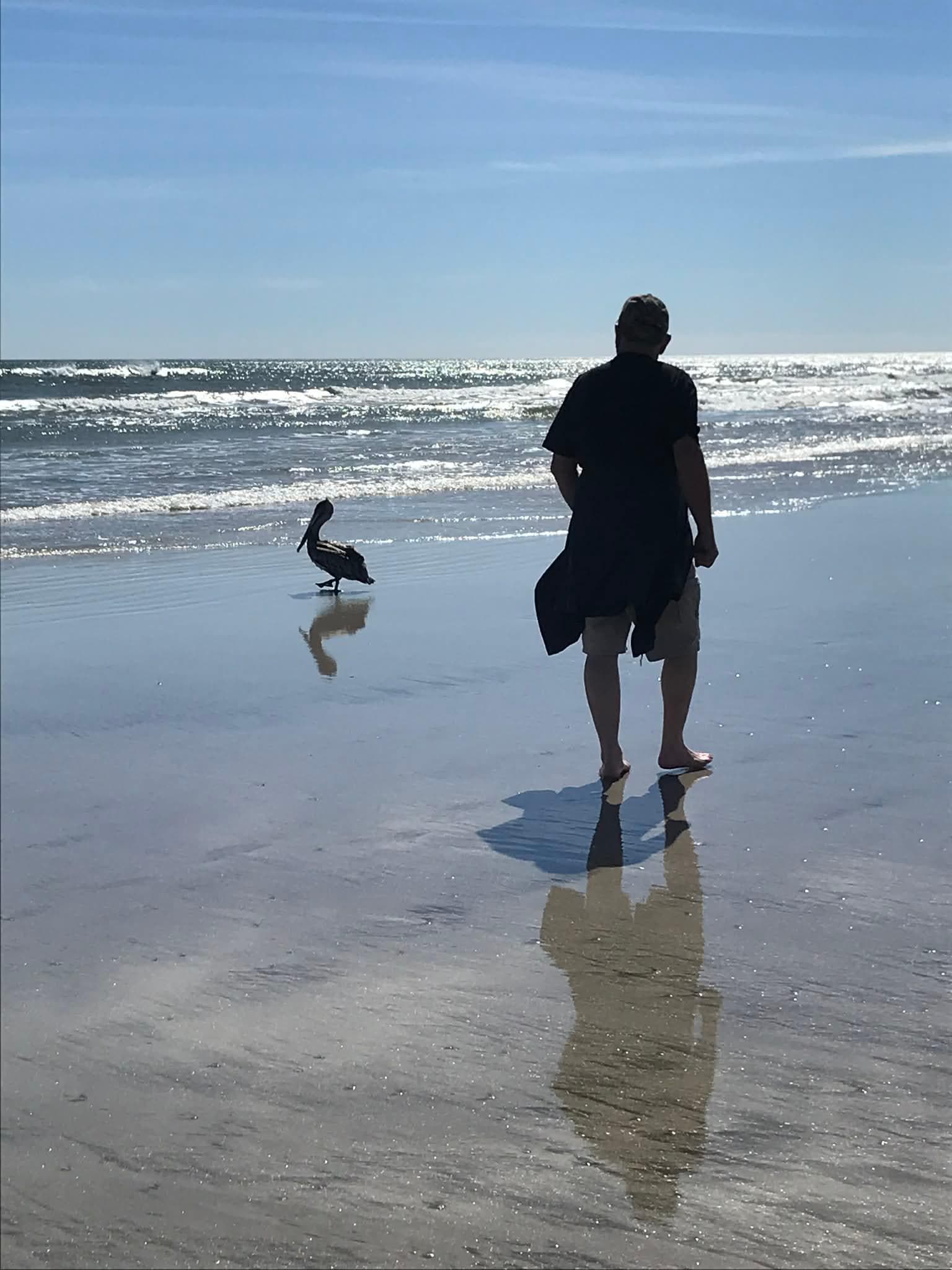 We never knew what we would see on our beach walks!