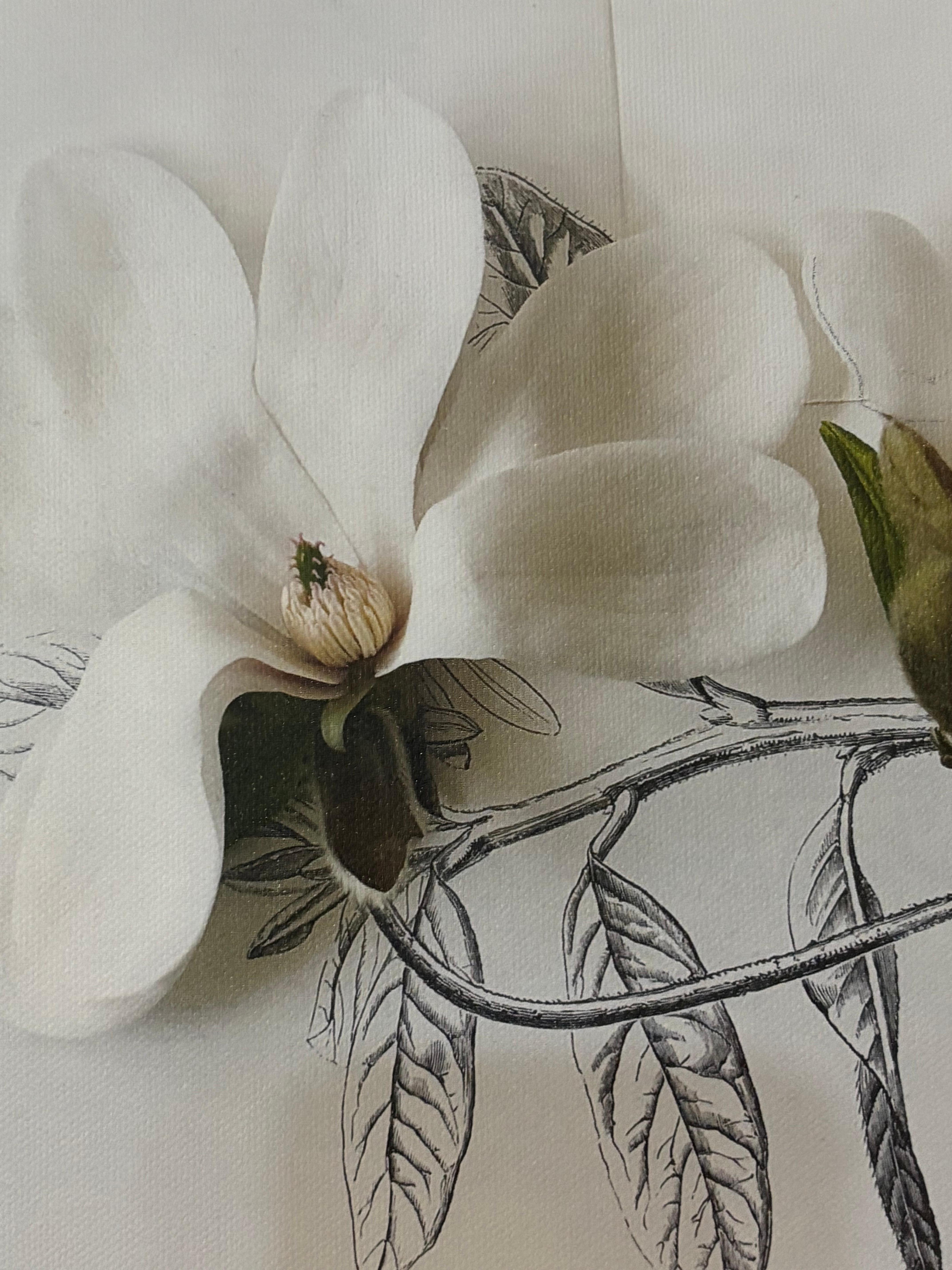 Picture on the wall.