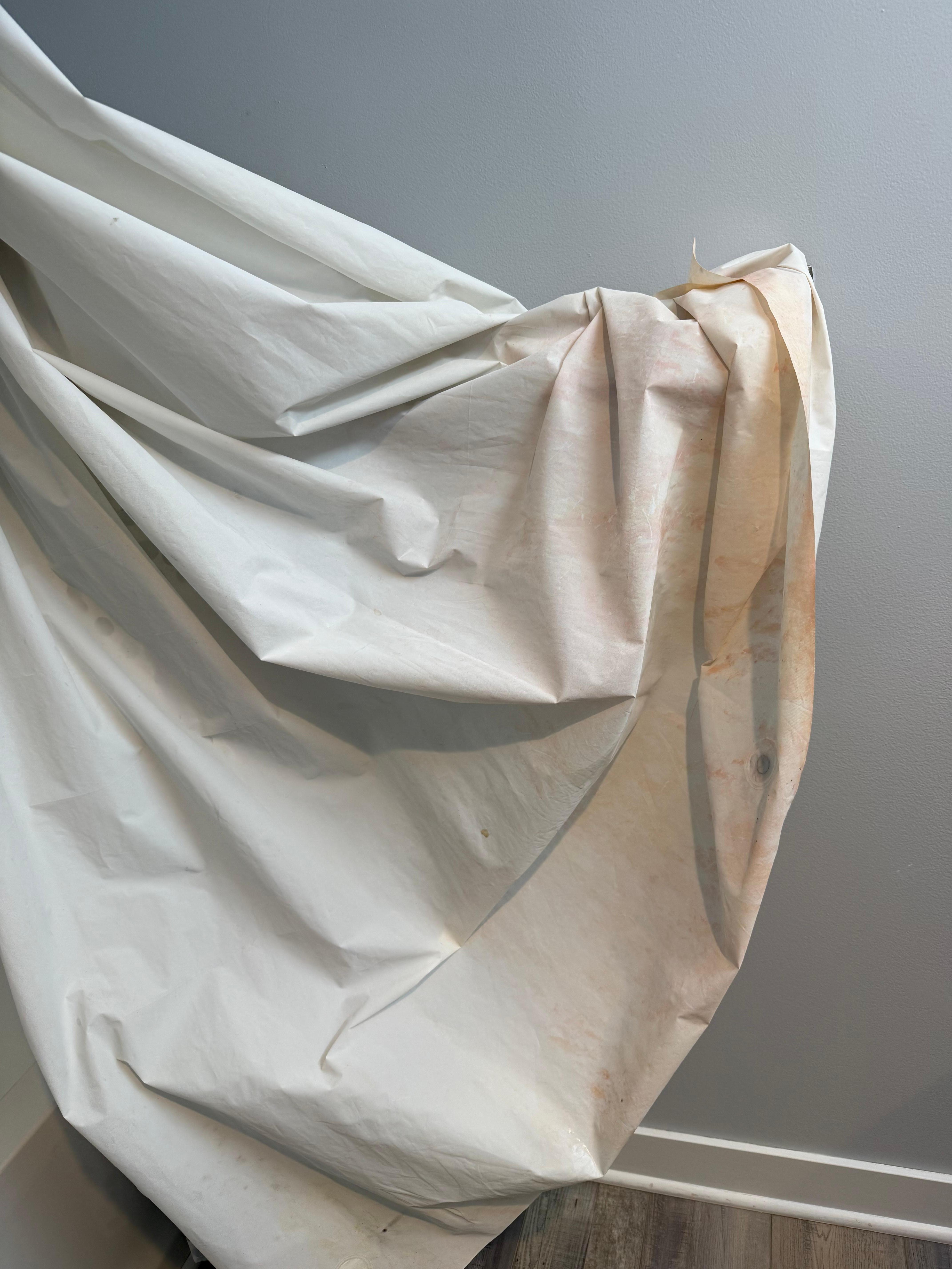 Shower curtain in basement
