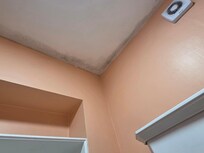 Mildew bathroom ceiling