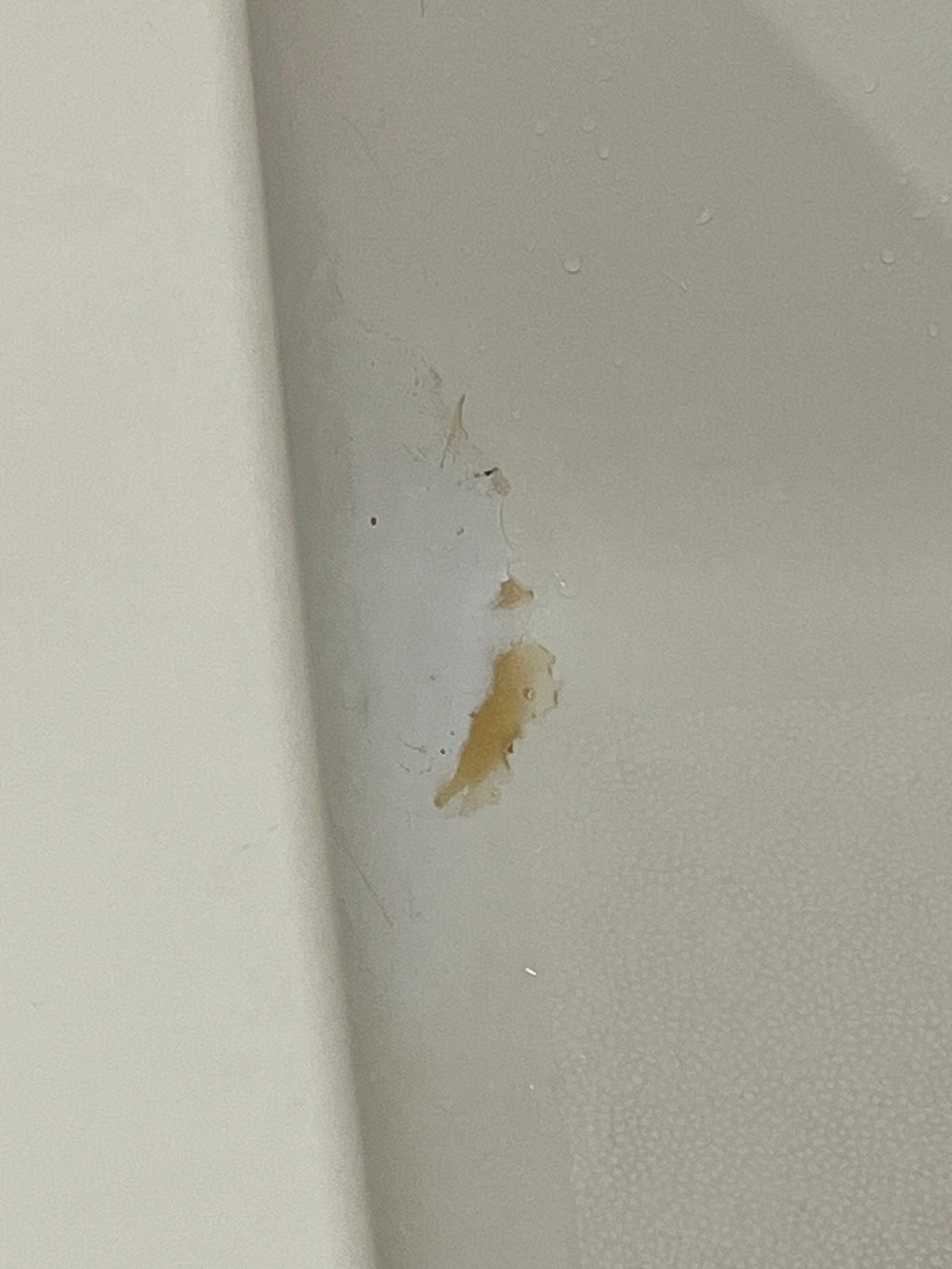 Thought there was a gross something (?) in the shower but was were it had been patched.  Still looks gross 