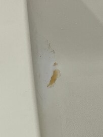 Thought there was a gross something (?) in the shower but was were it had been patched. Still looks gross