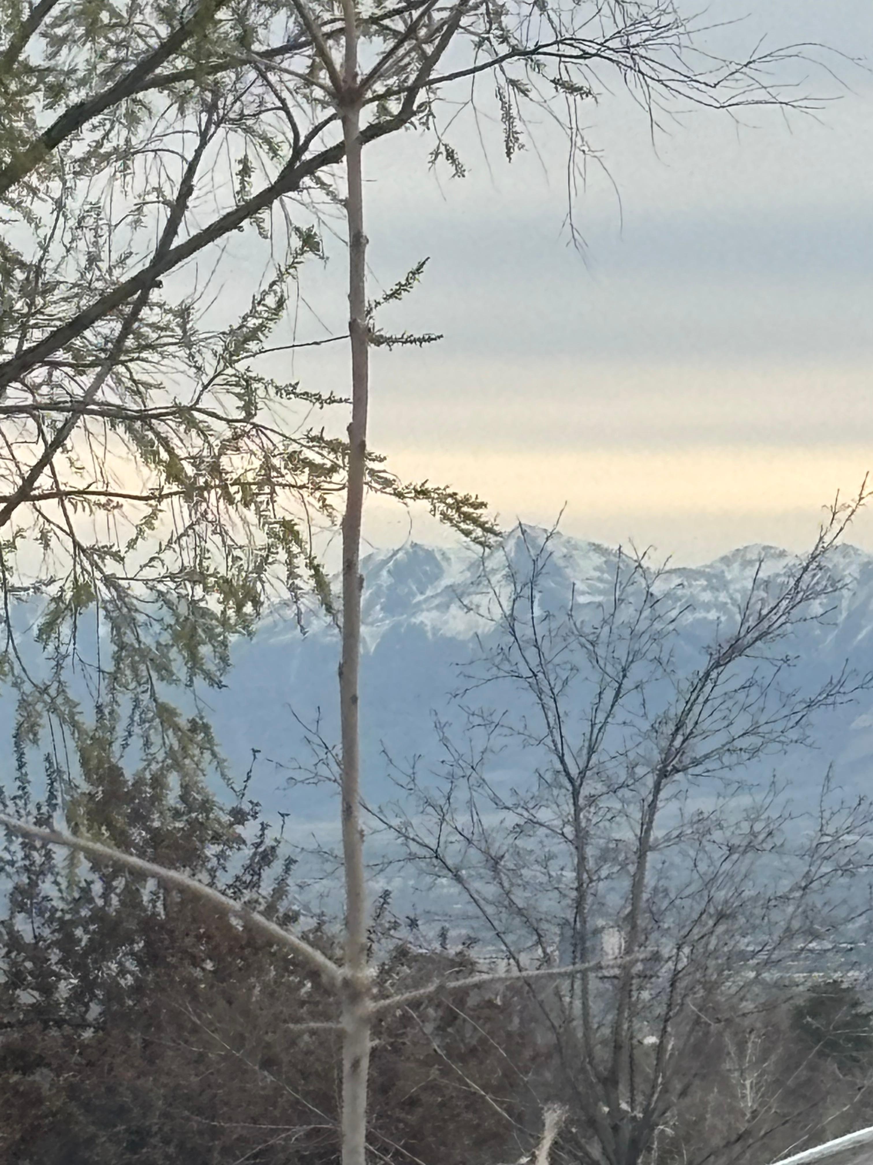 View from parking lot of hotel