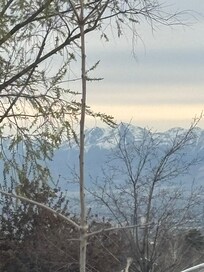 View from parking lot of hotel