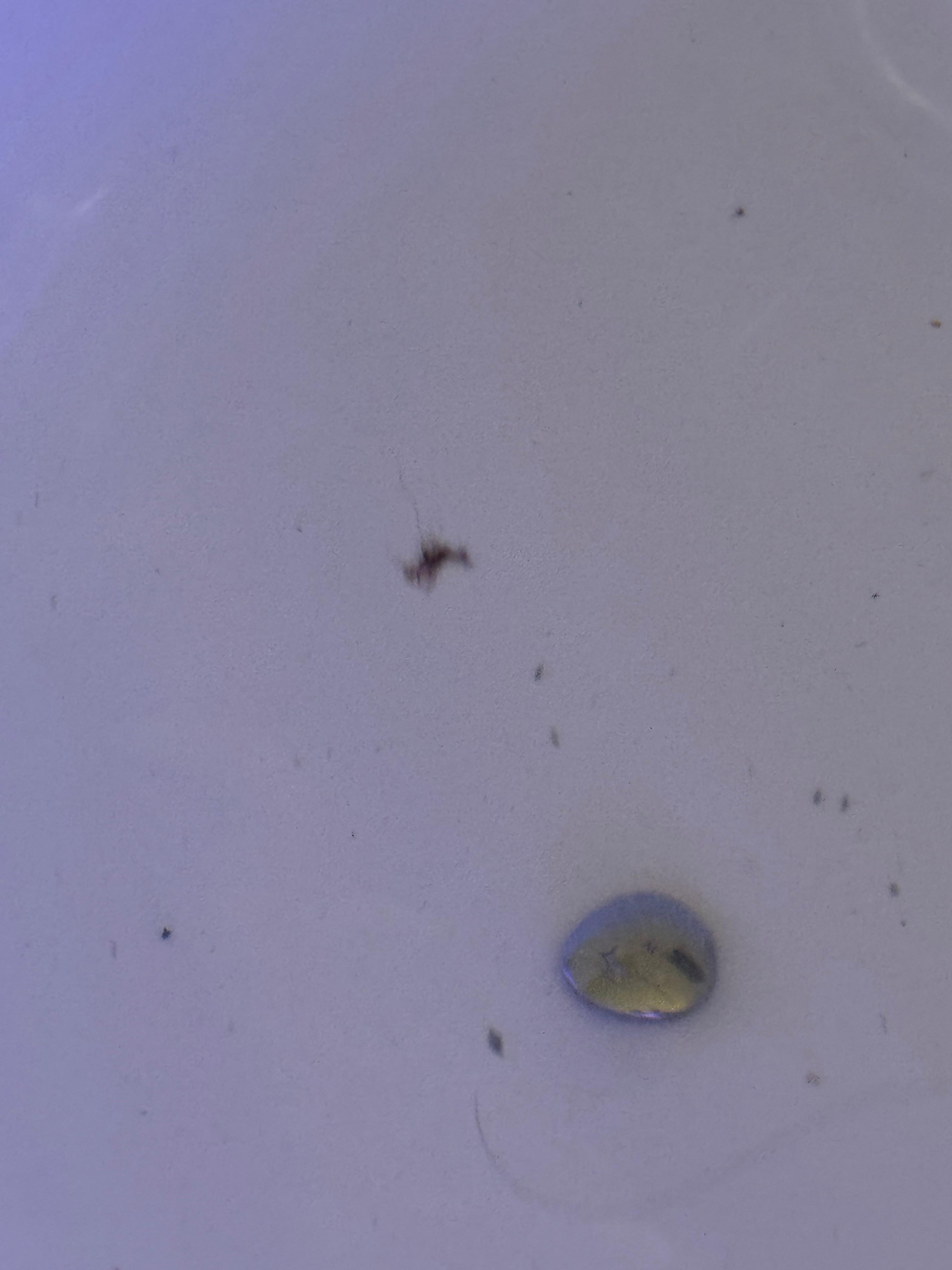 Mold from jets 