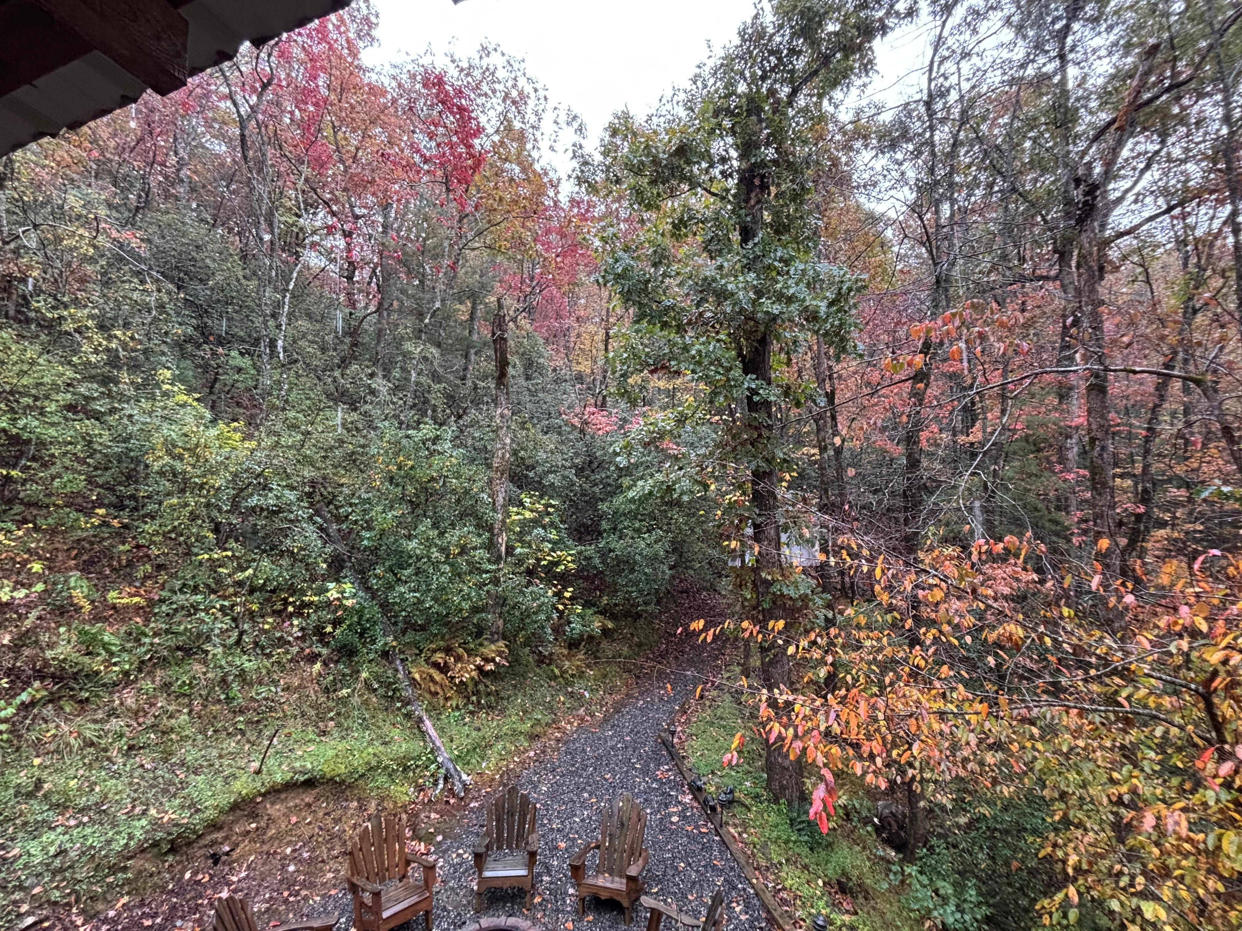 View from screened porch of small deck by creek.