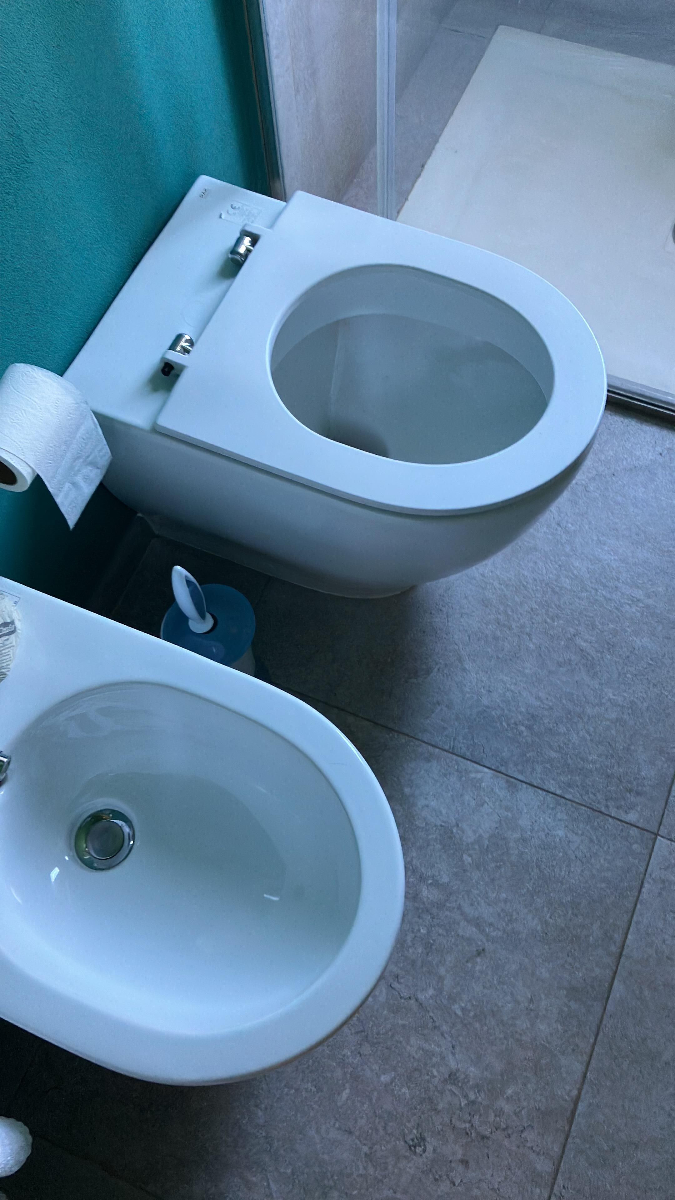 Toilettendeckel fehlt