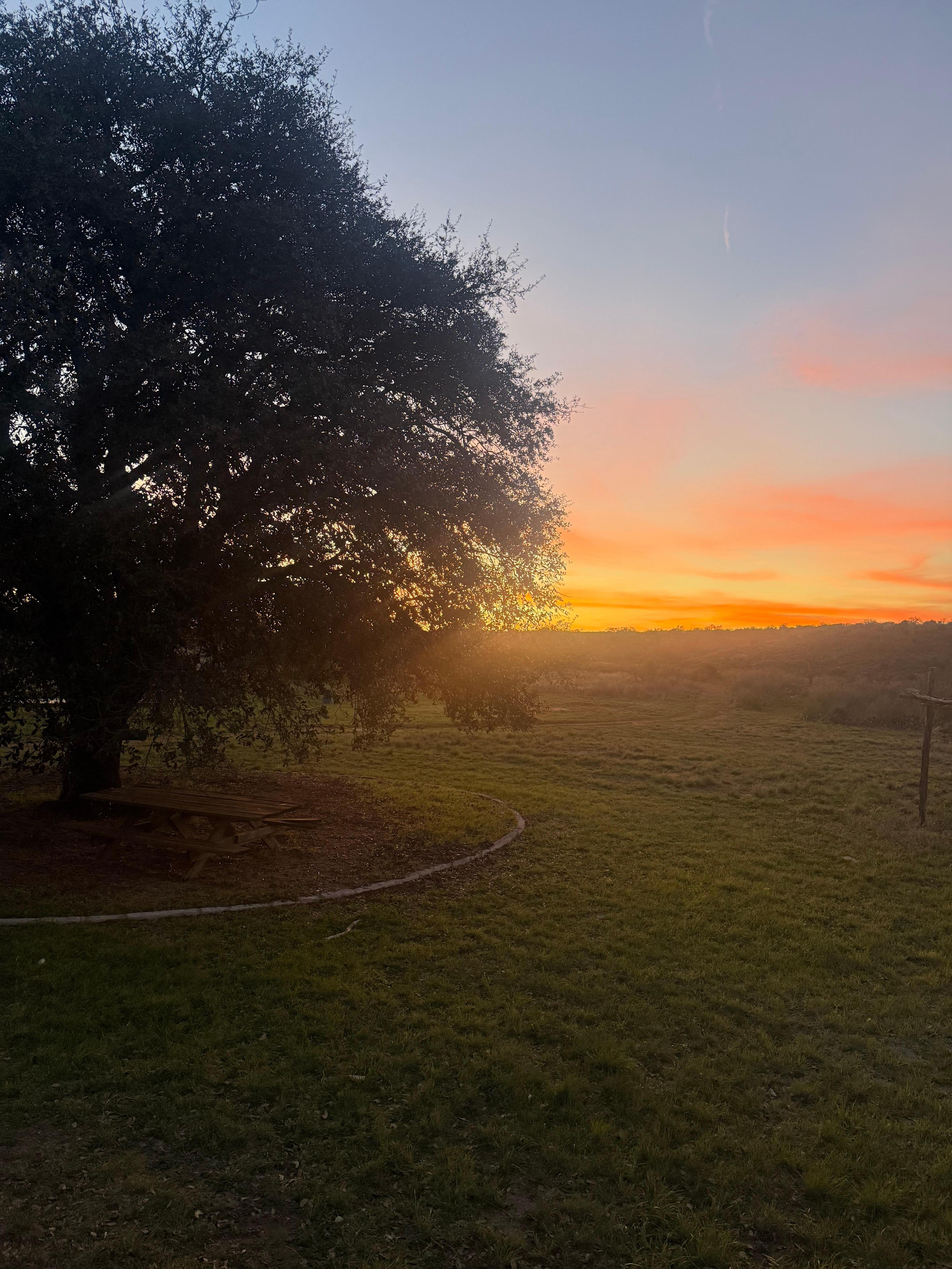 Sunsets for days!