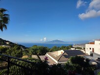 View from the patio.