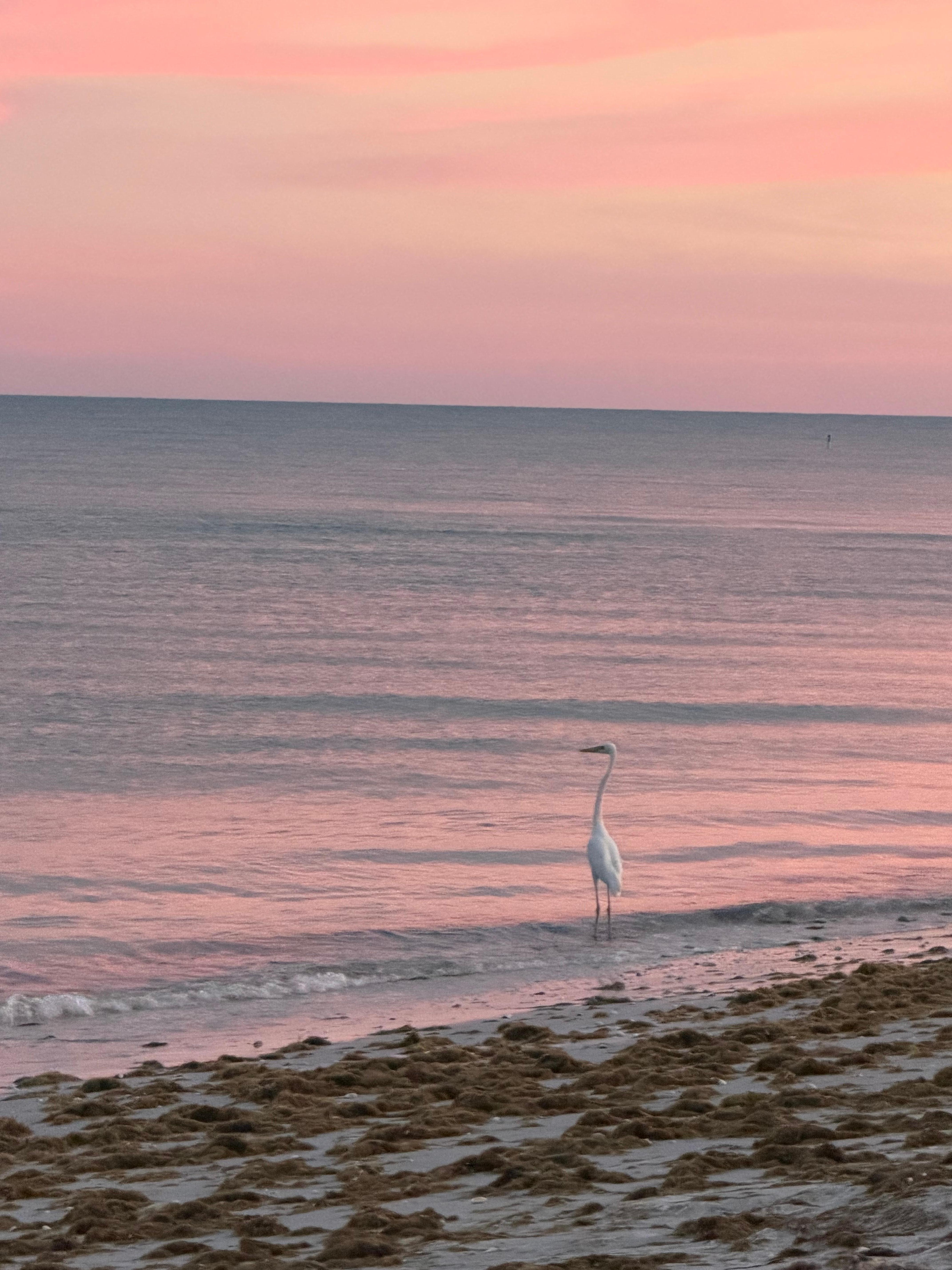 Beautiful sunset. 