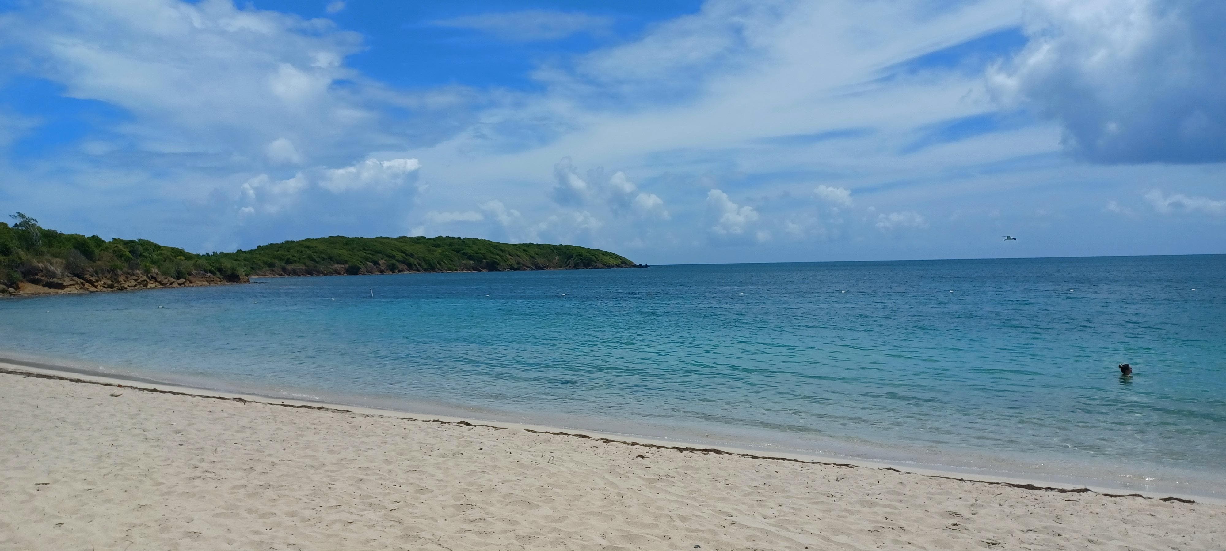 Seven Seas Beach