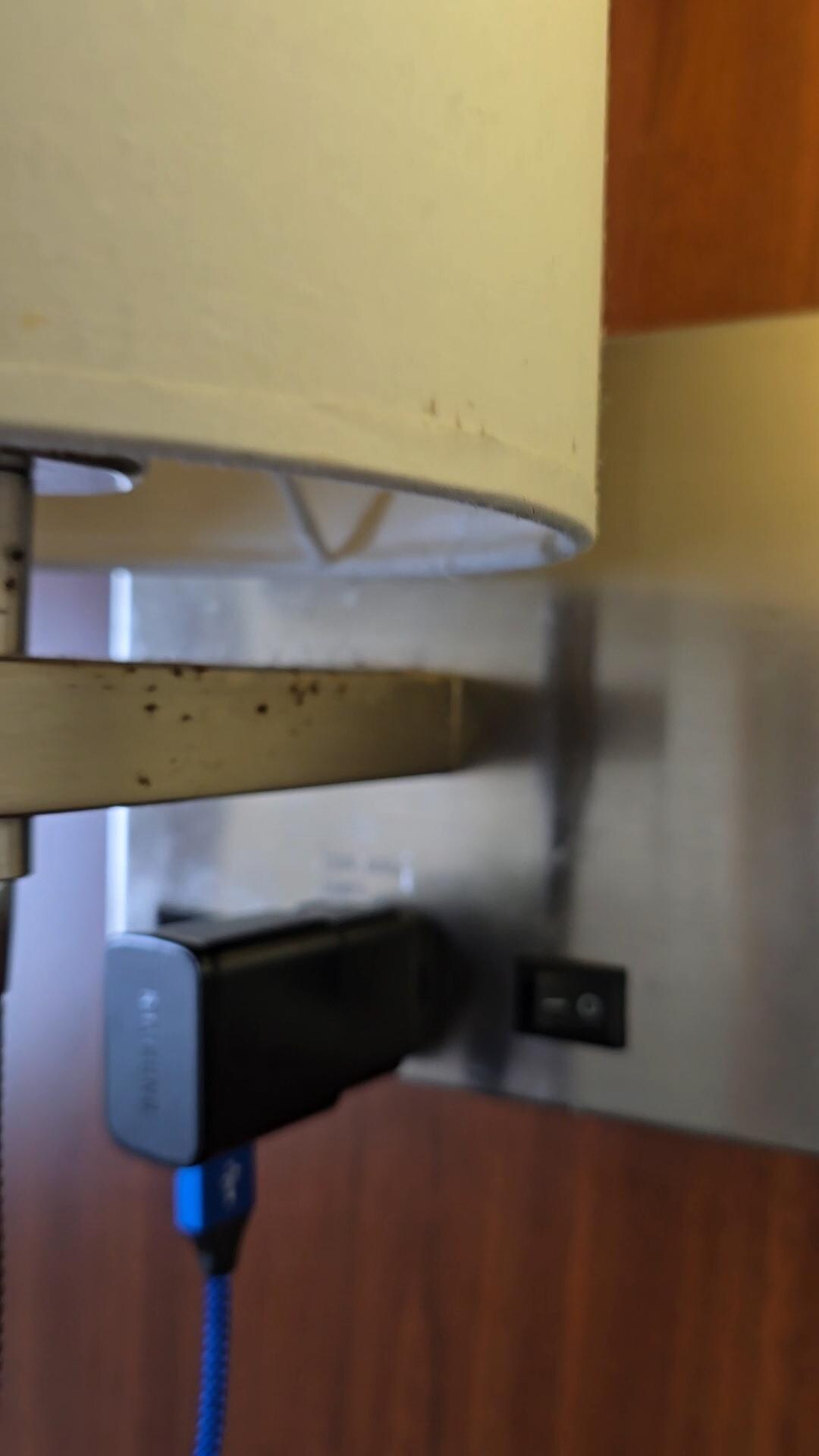 Mold on light switch 1