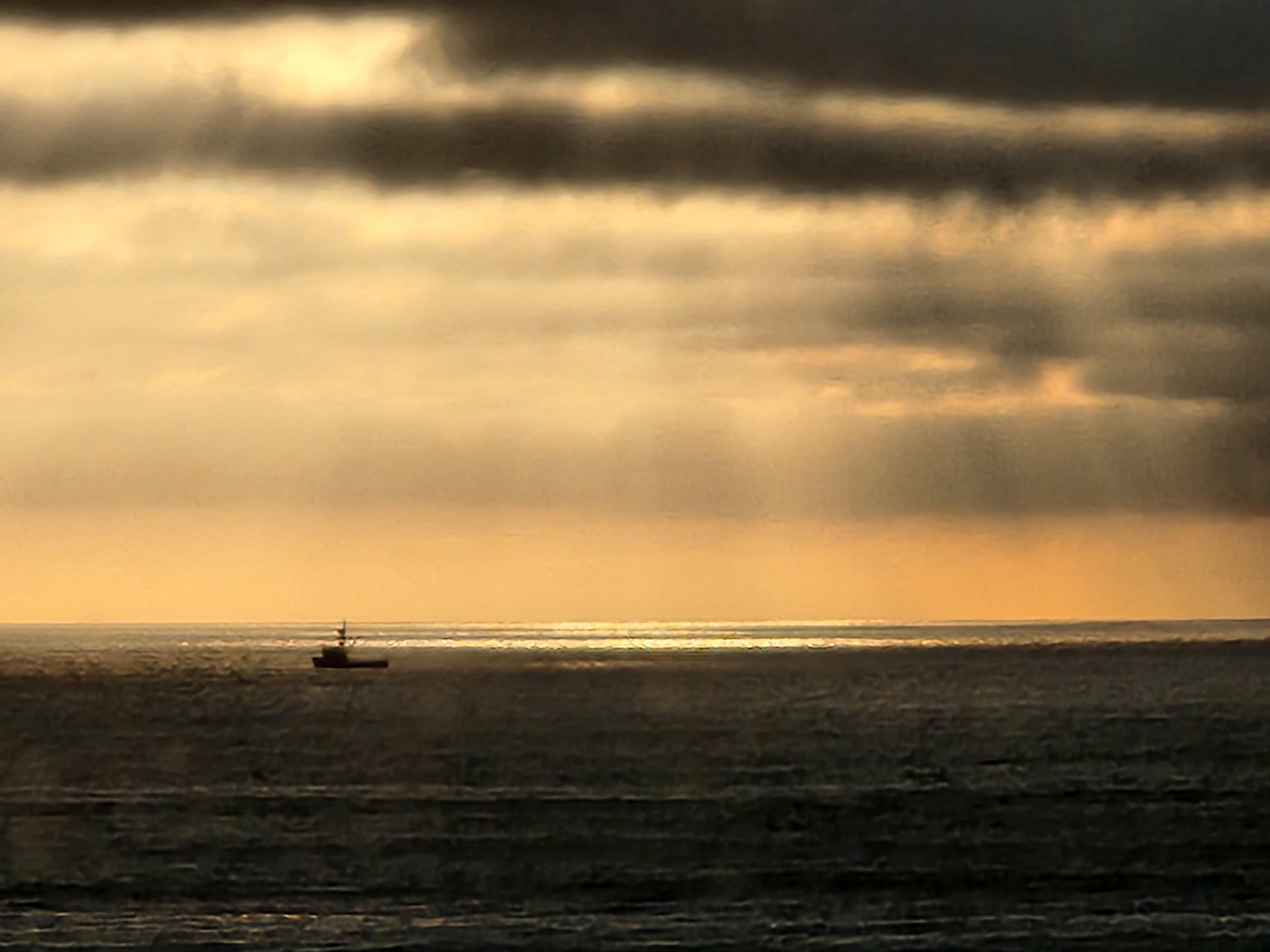 view from the back porch