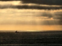 view from the back porch