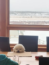 The view from the kitchen... Breathtaking.