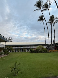 View of the hotel from lawn.