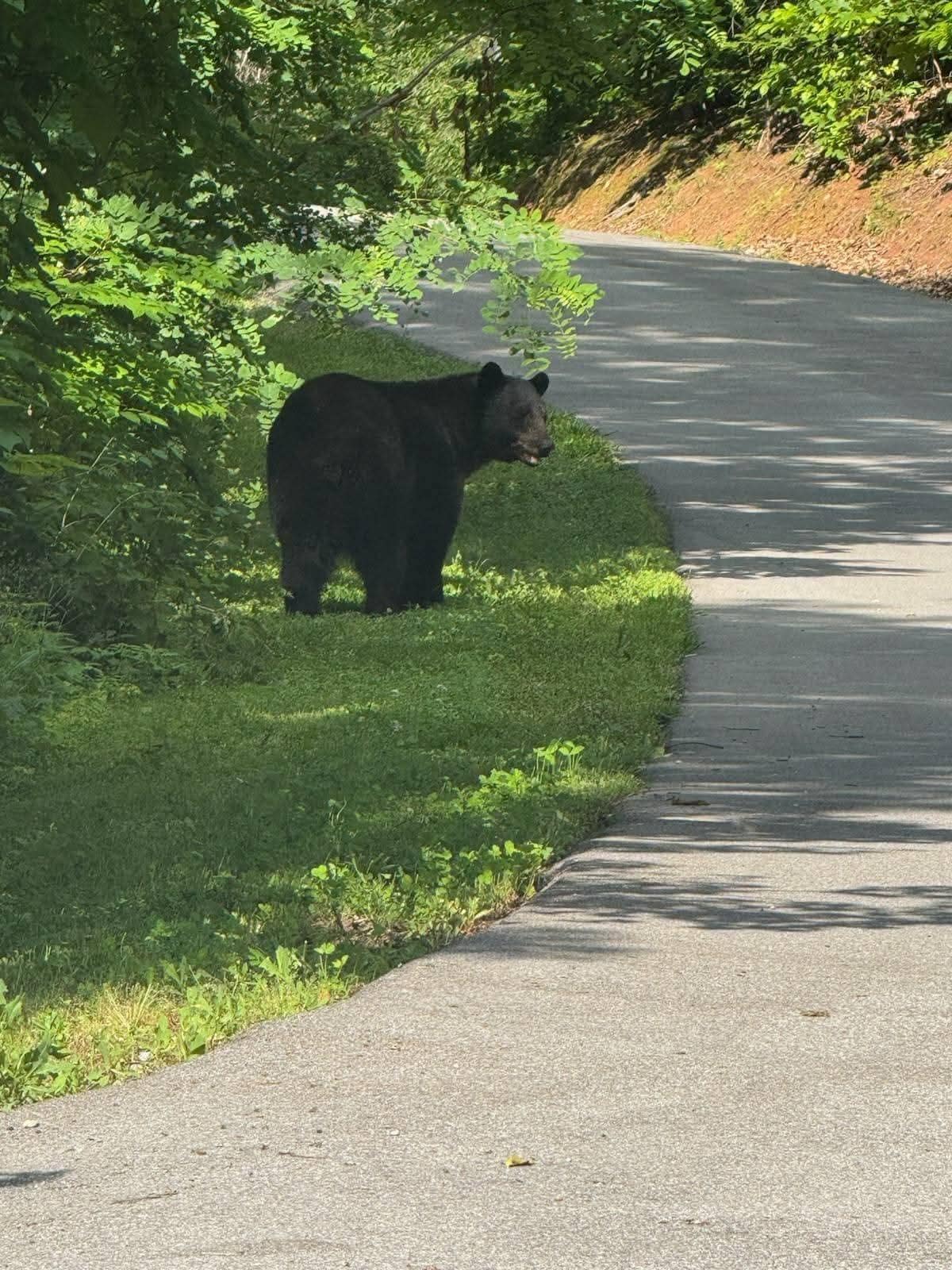 Just a local passing by